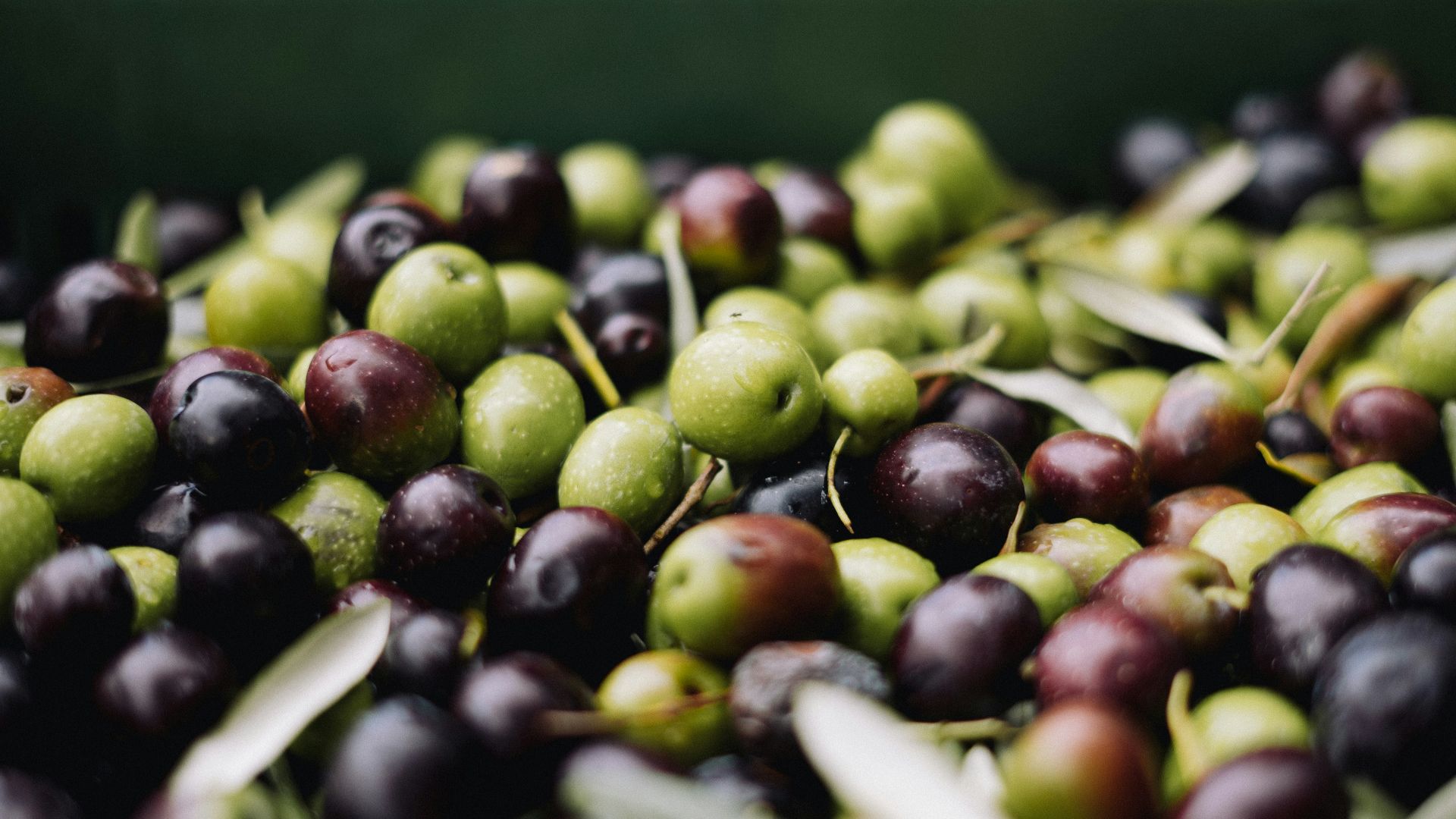 7. Juste des olives