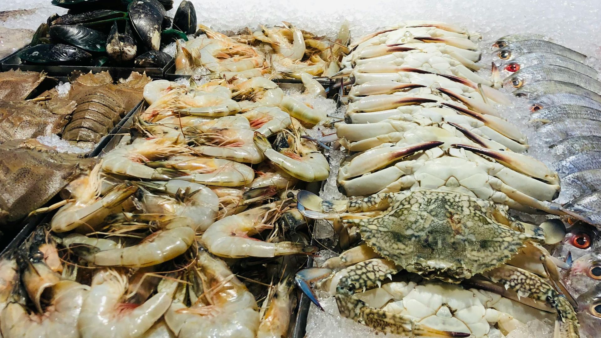 2. Fruits de mer frais