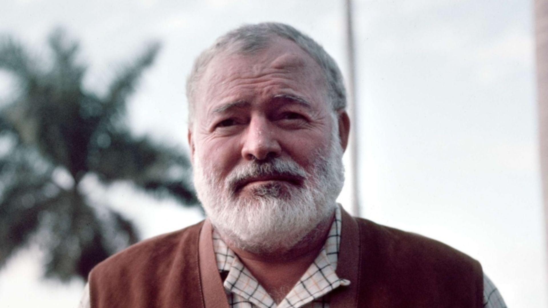 7. Il a apporté à la littérature son regard de journaliste