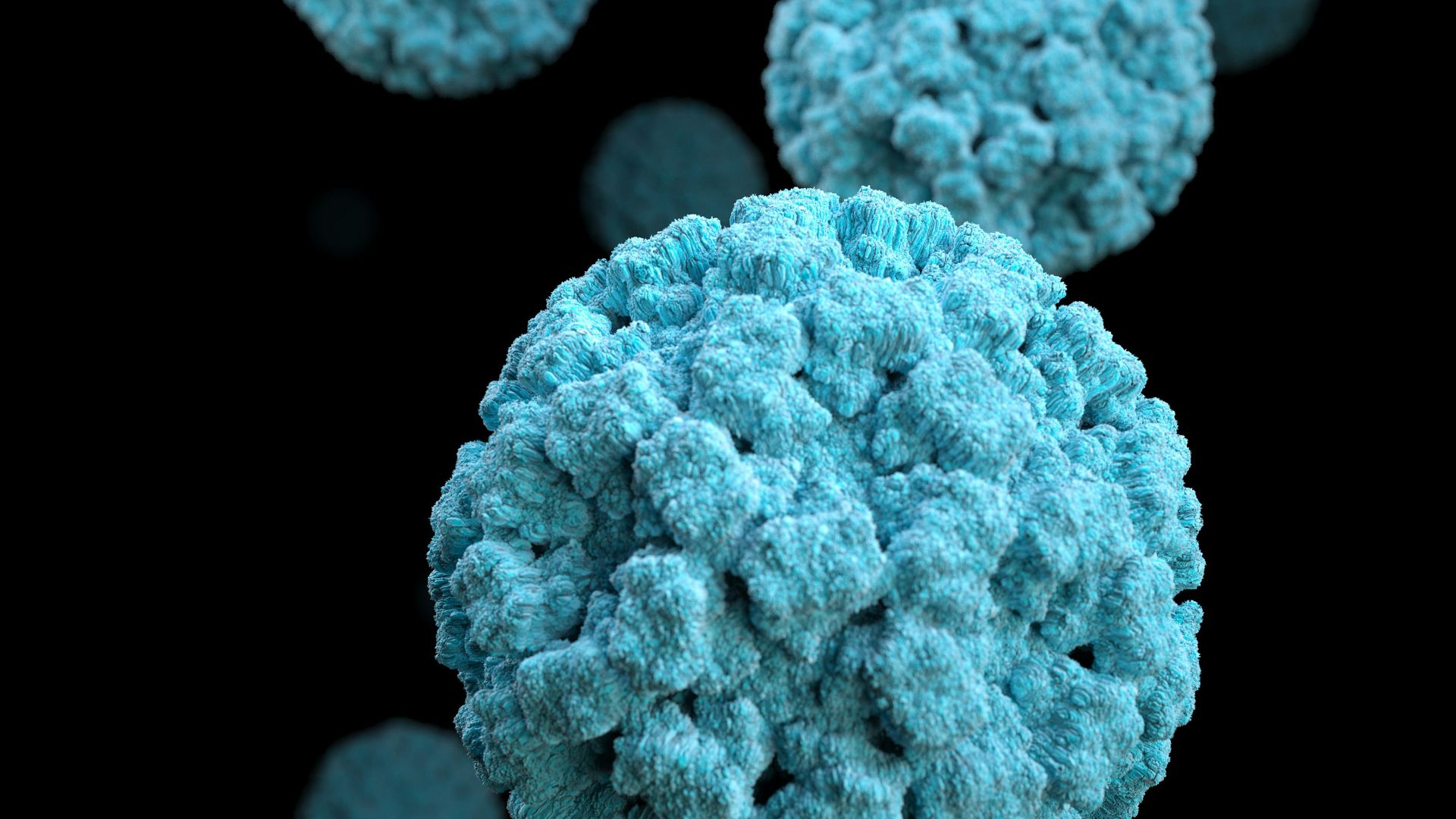 14. Anellovirus