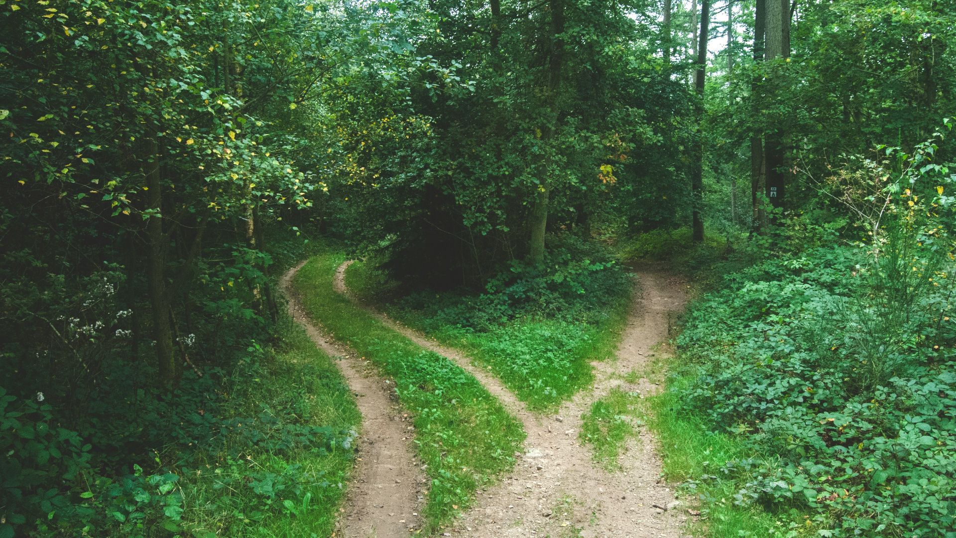 7. Ils avaient cessé de comparer leur parcours à celui des autres.