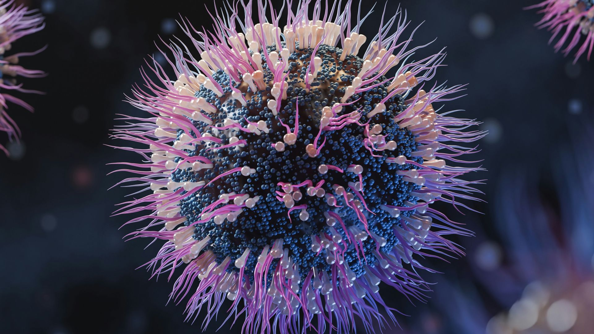 12. Le poliovirus dans le traitement du cancer