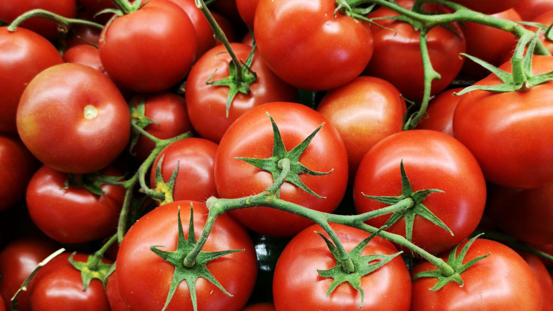 2. Tomates