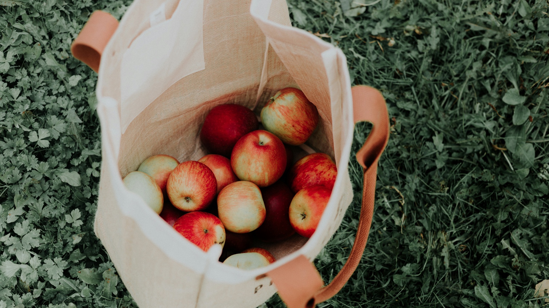 7. Sacs de courses réutilisables