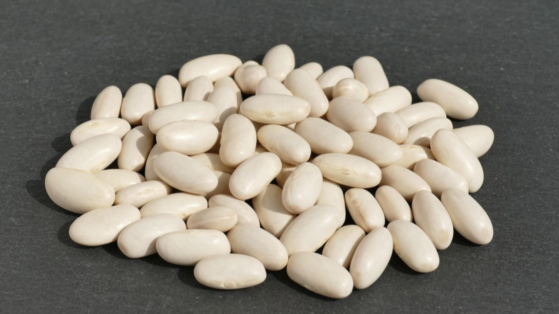 13. Haricots blancs copieux