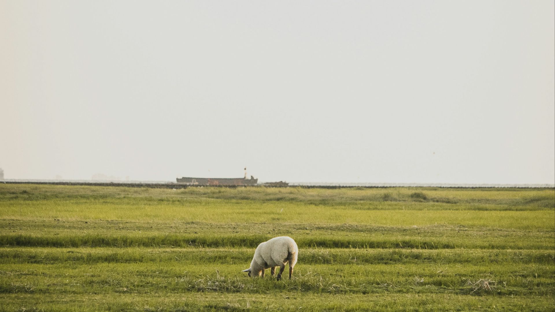 3. Bâtons de lancer provenant du même site allemand