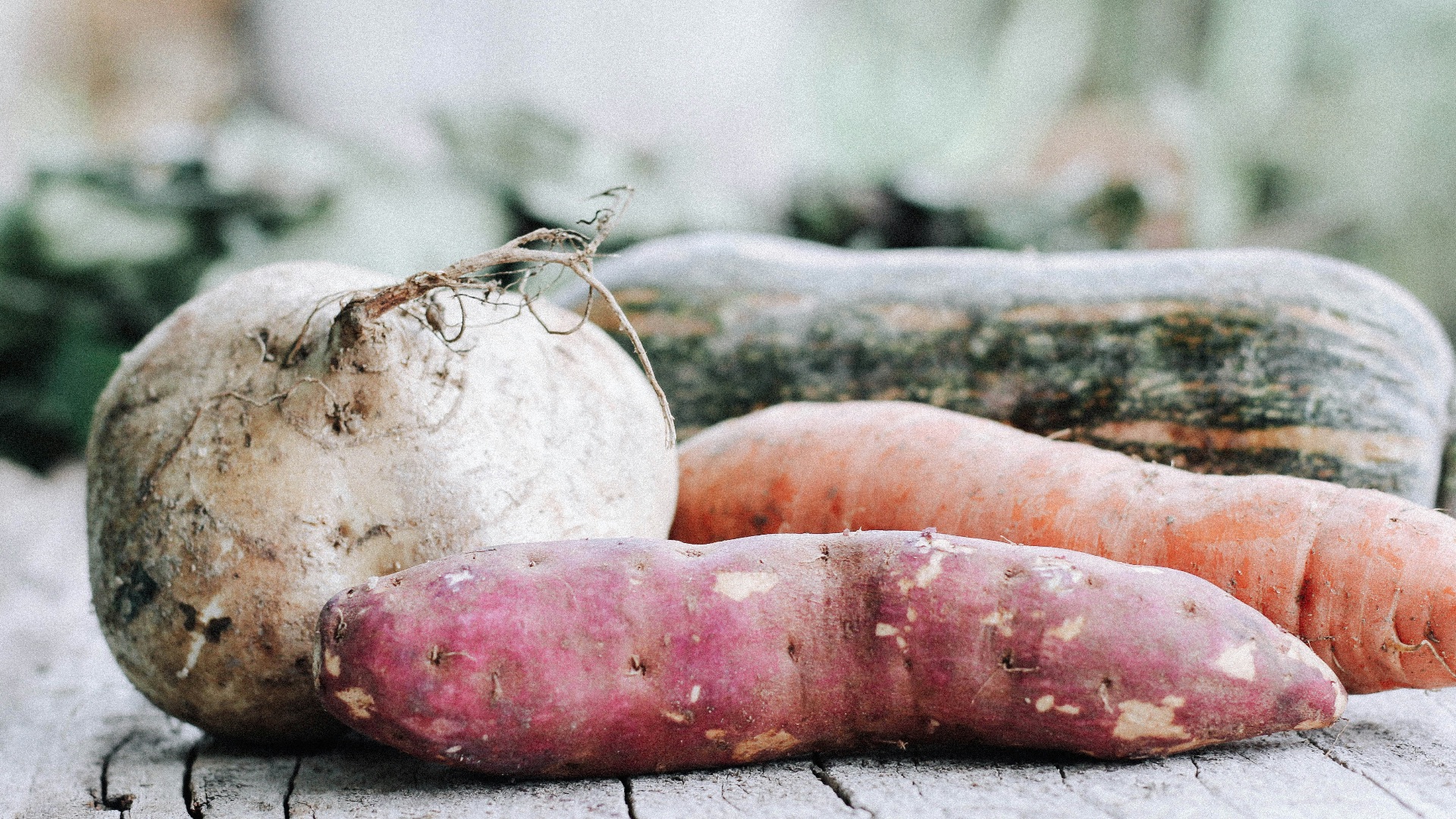 7. Choux et légumes-racines