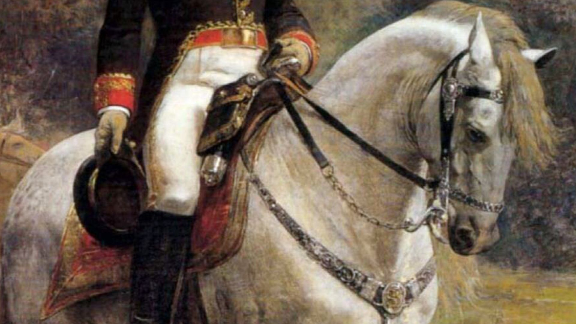 17. Palomo : le cheval du Libérateur