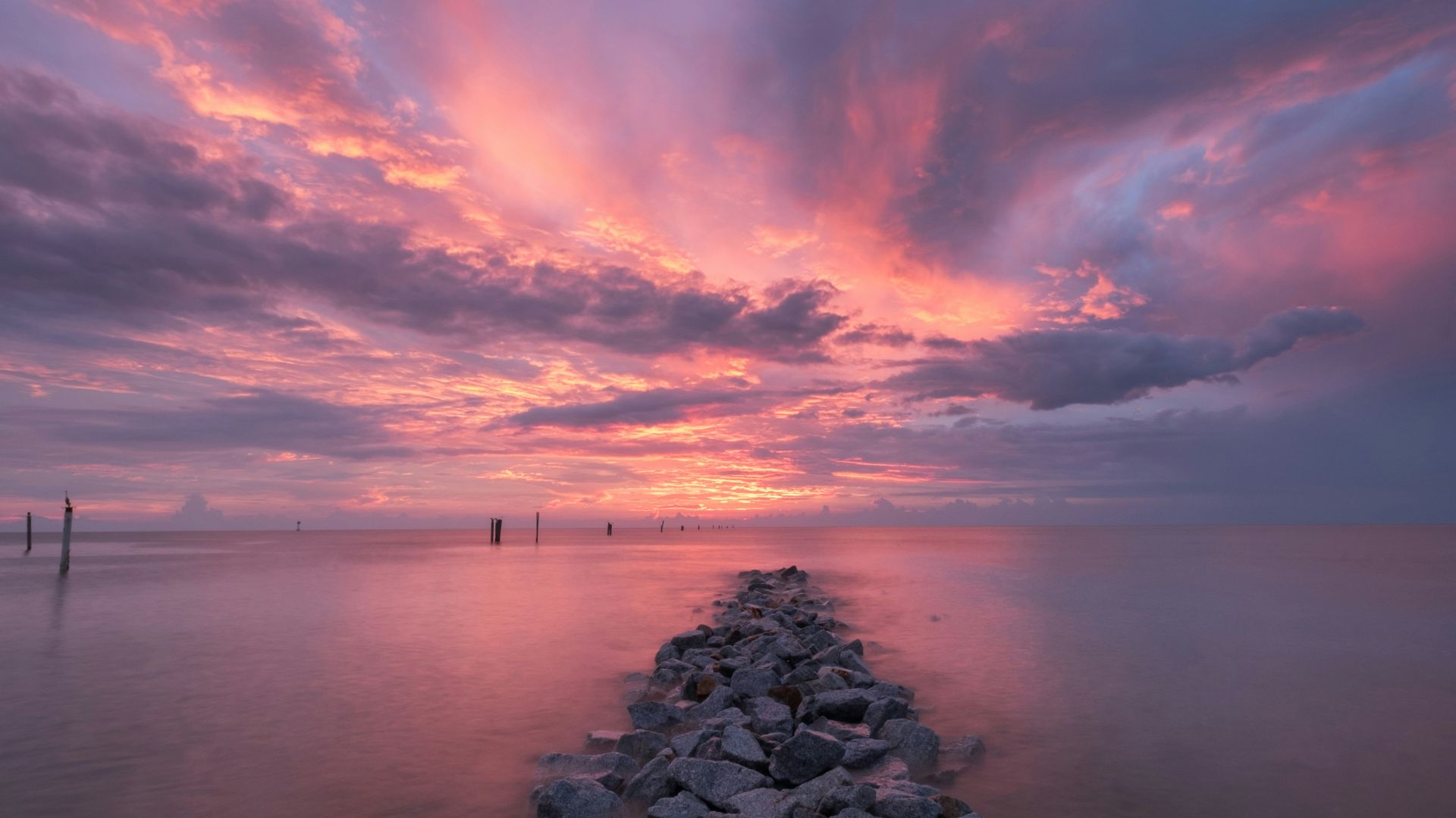 20. Twilight, de Stephenie Meyer