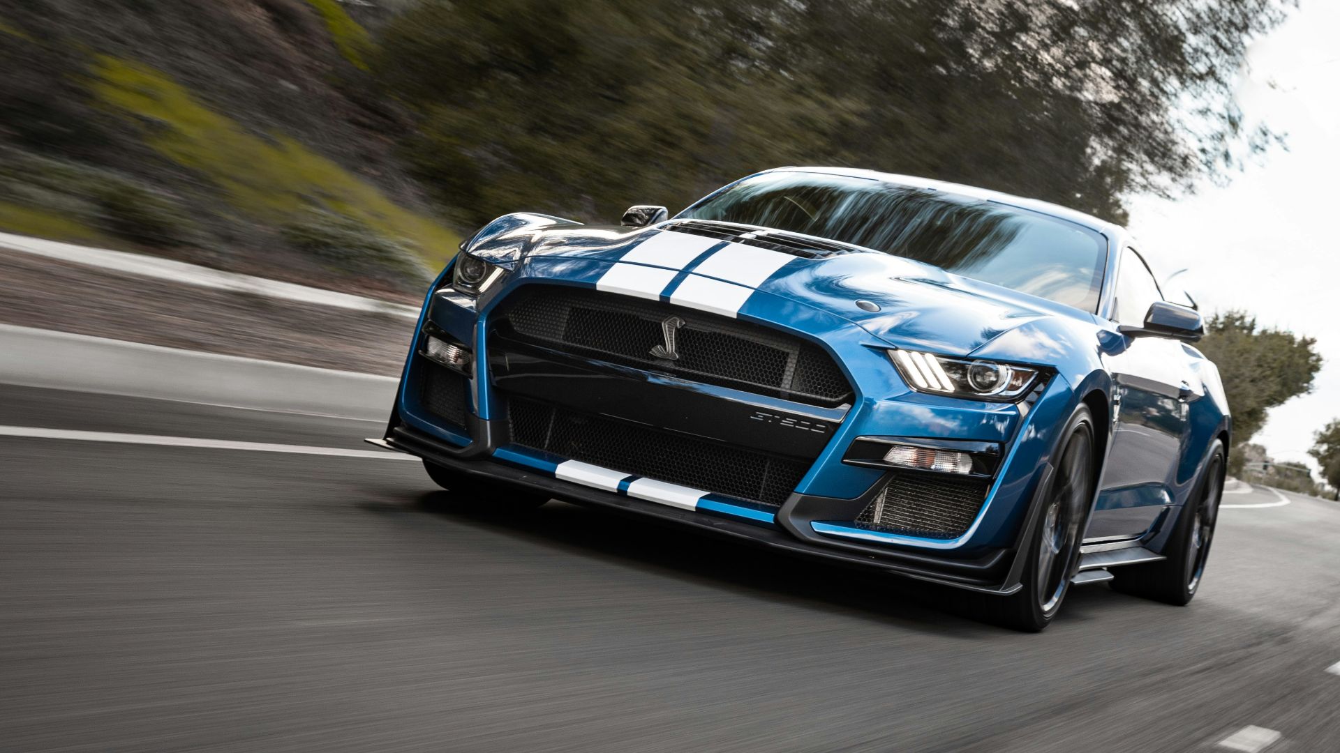 19. Les gens continuent de débattre pour savoir ce qu'est une « vraie Mustang ».