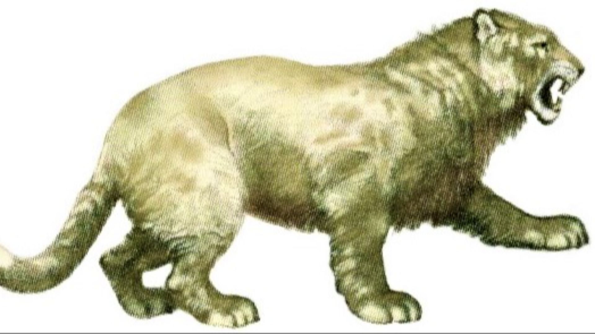 9. Lion des cavernes