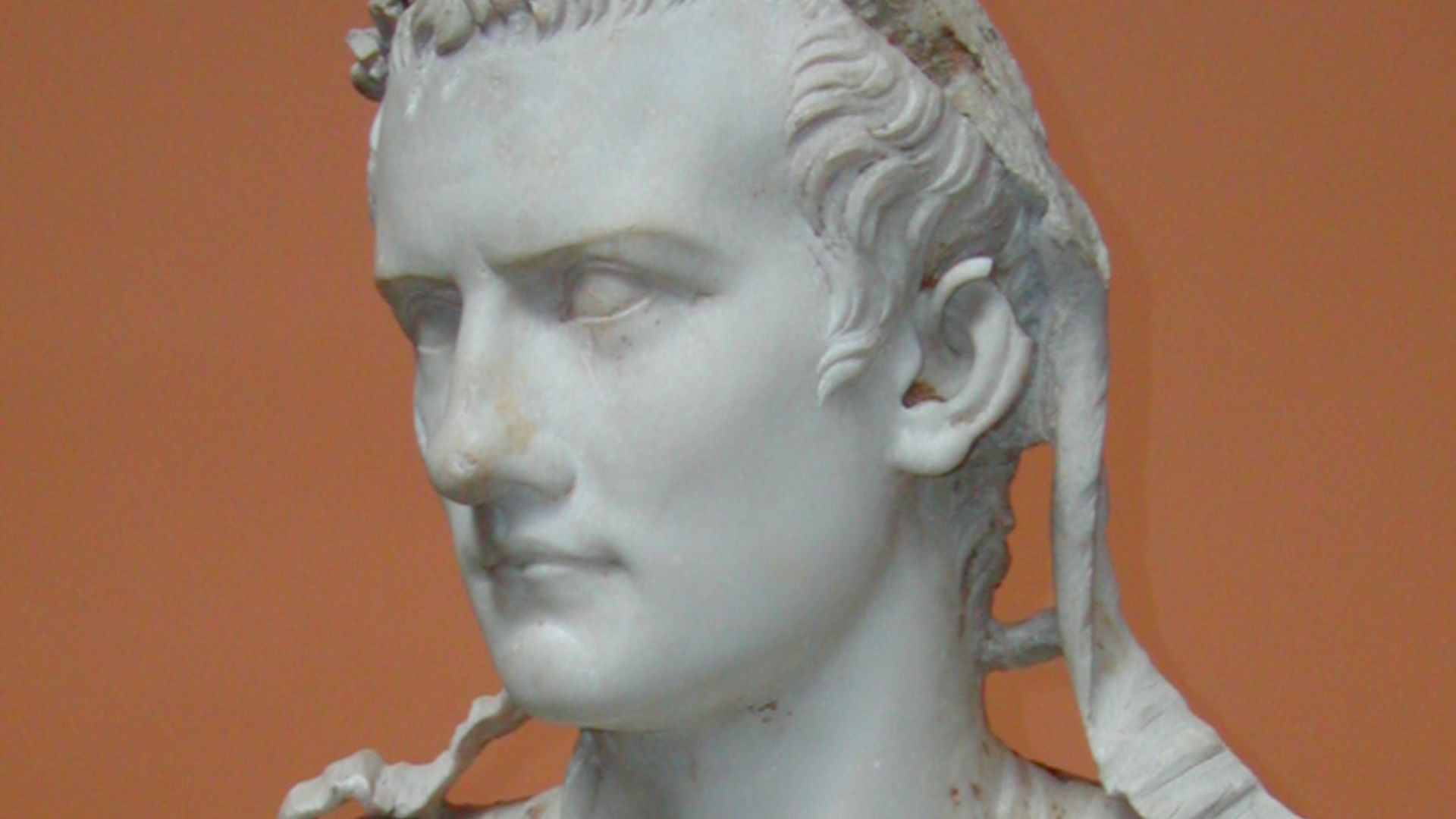 11. Caligula a nommé son cheval sénateur