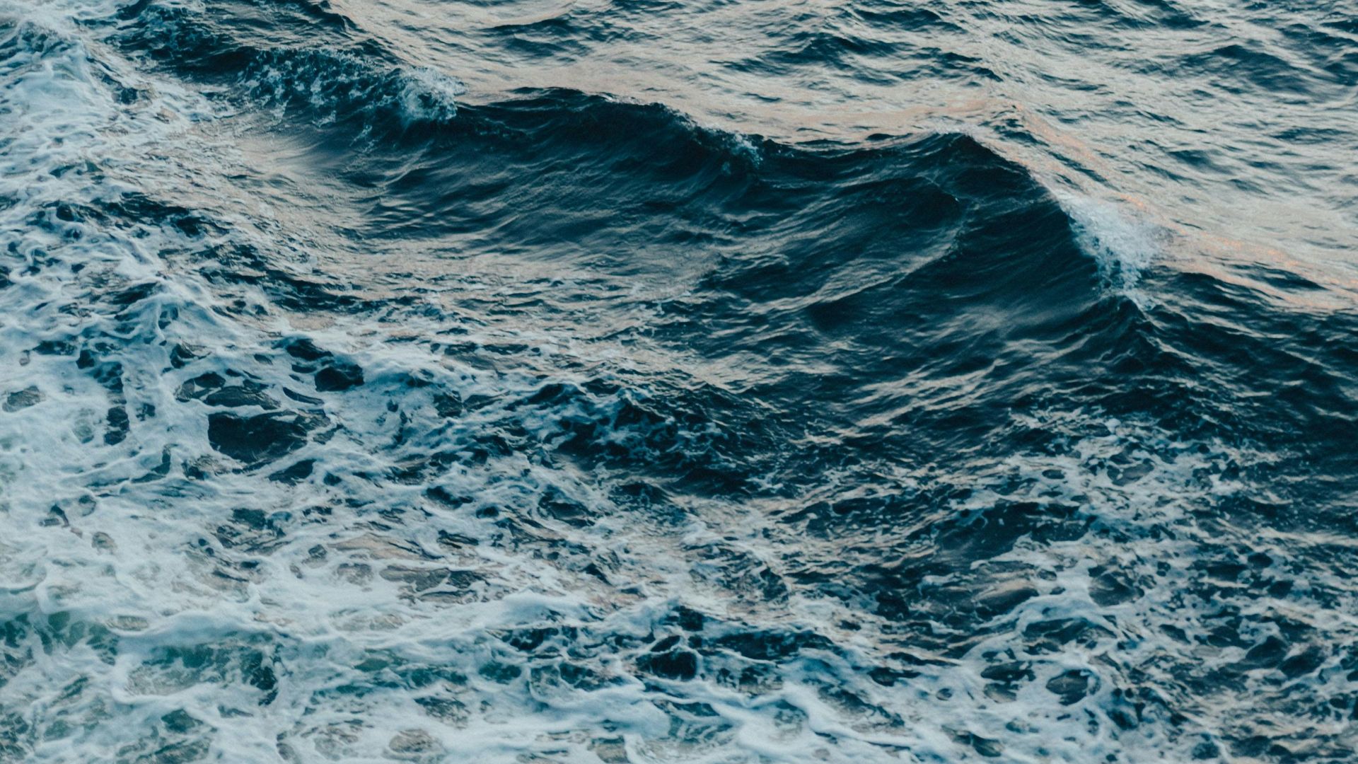 5. Rinçages à l'eau salée