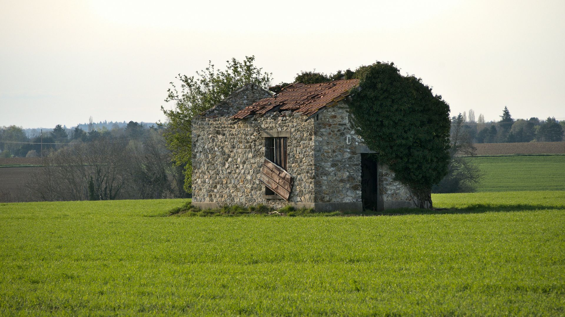 14. La crainte d'être abandonné