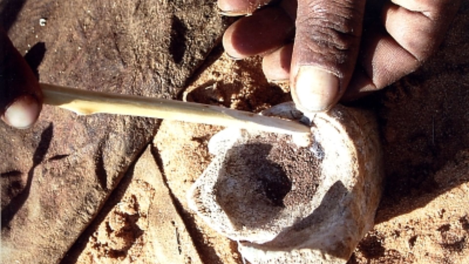 16. Flèches empoisonnées