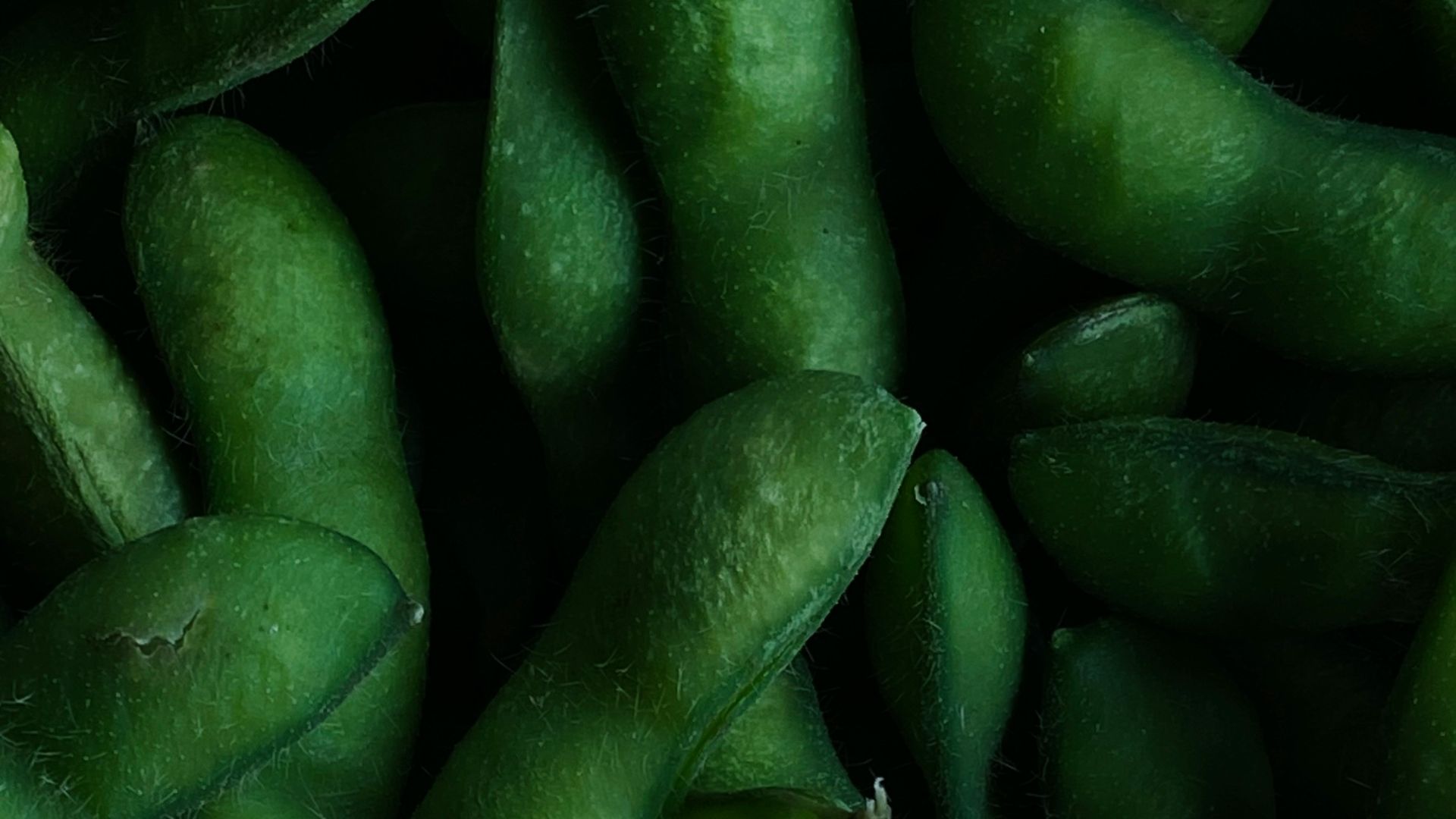 18. Edamame
