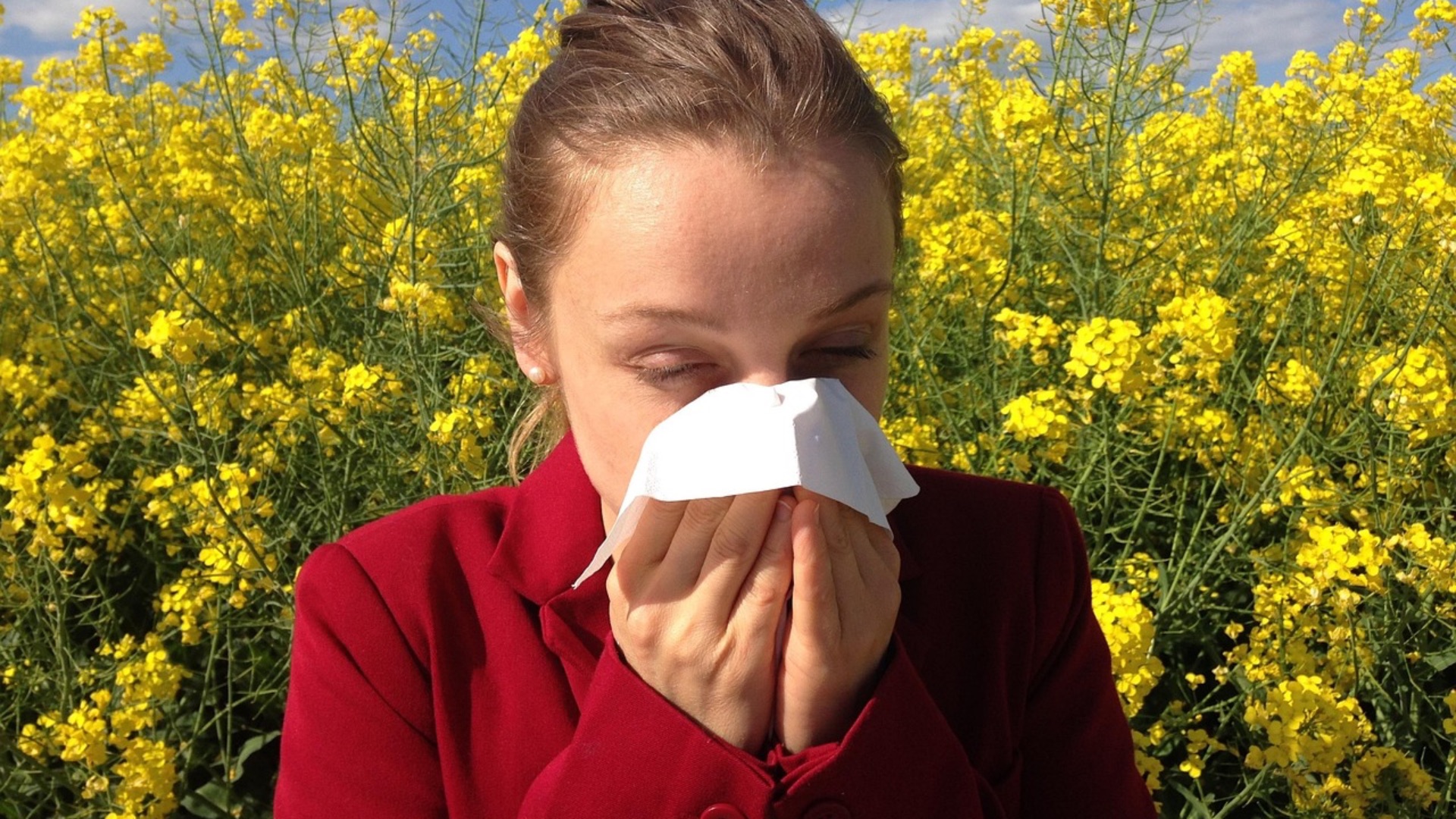 1. Pollen