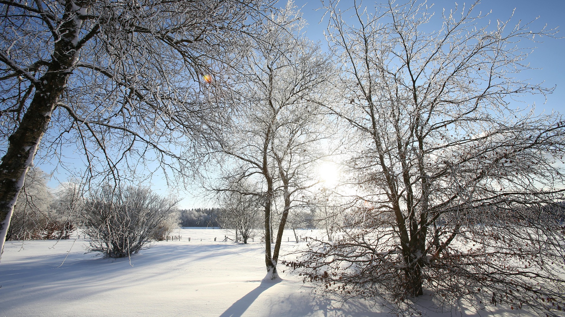 7. Air froid