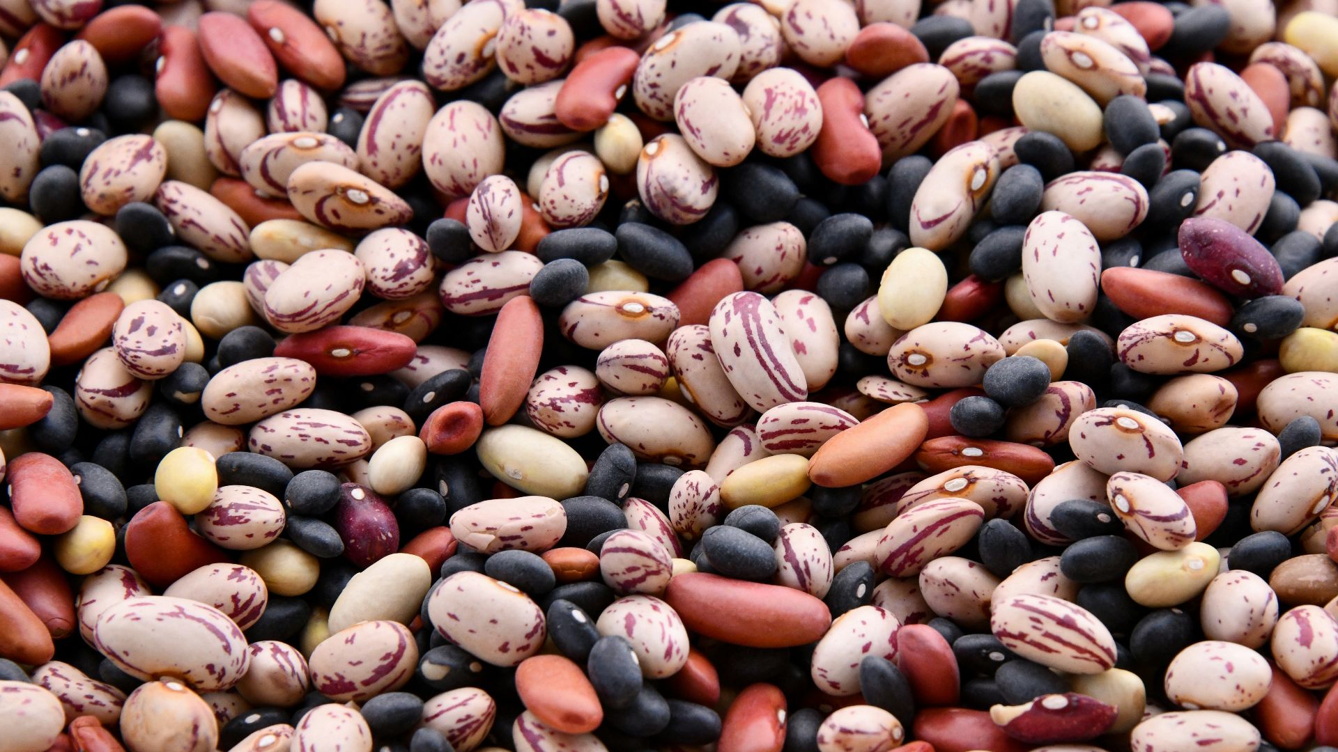 6. Haricots