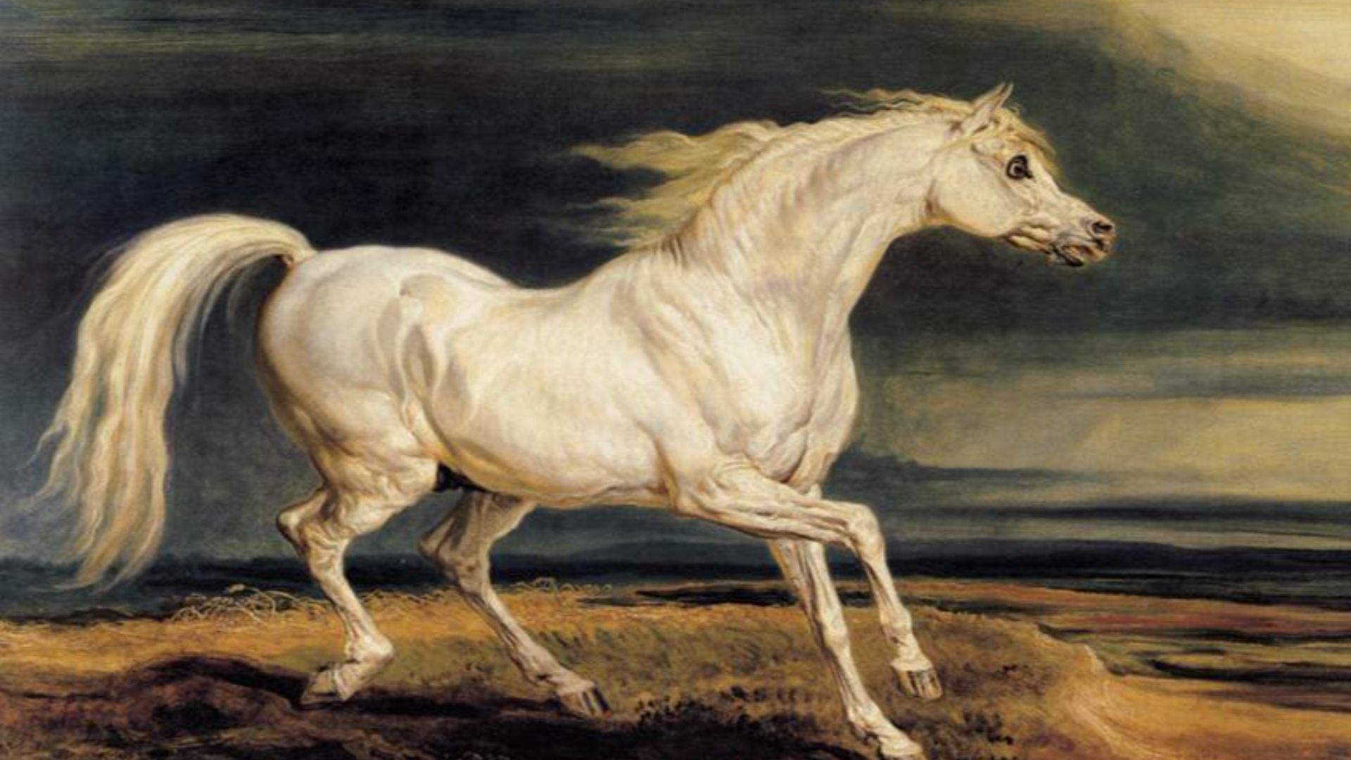 2. Marengo : le fidèle cheval de guerre de Napoléon