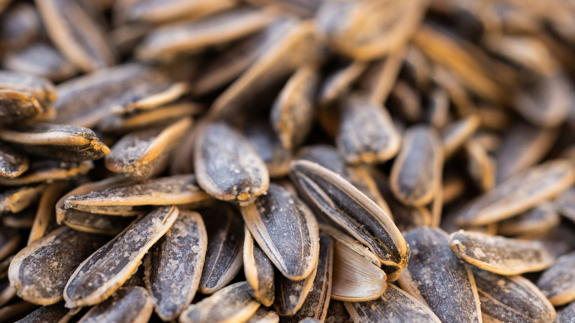 9. Croquant aux graines de tournesol