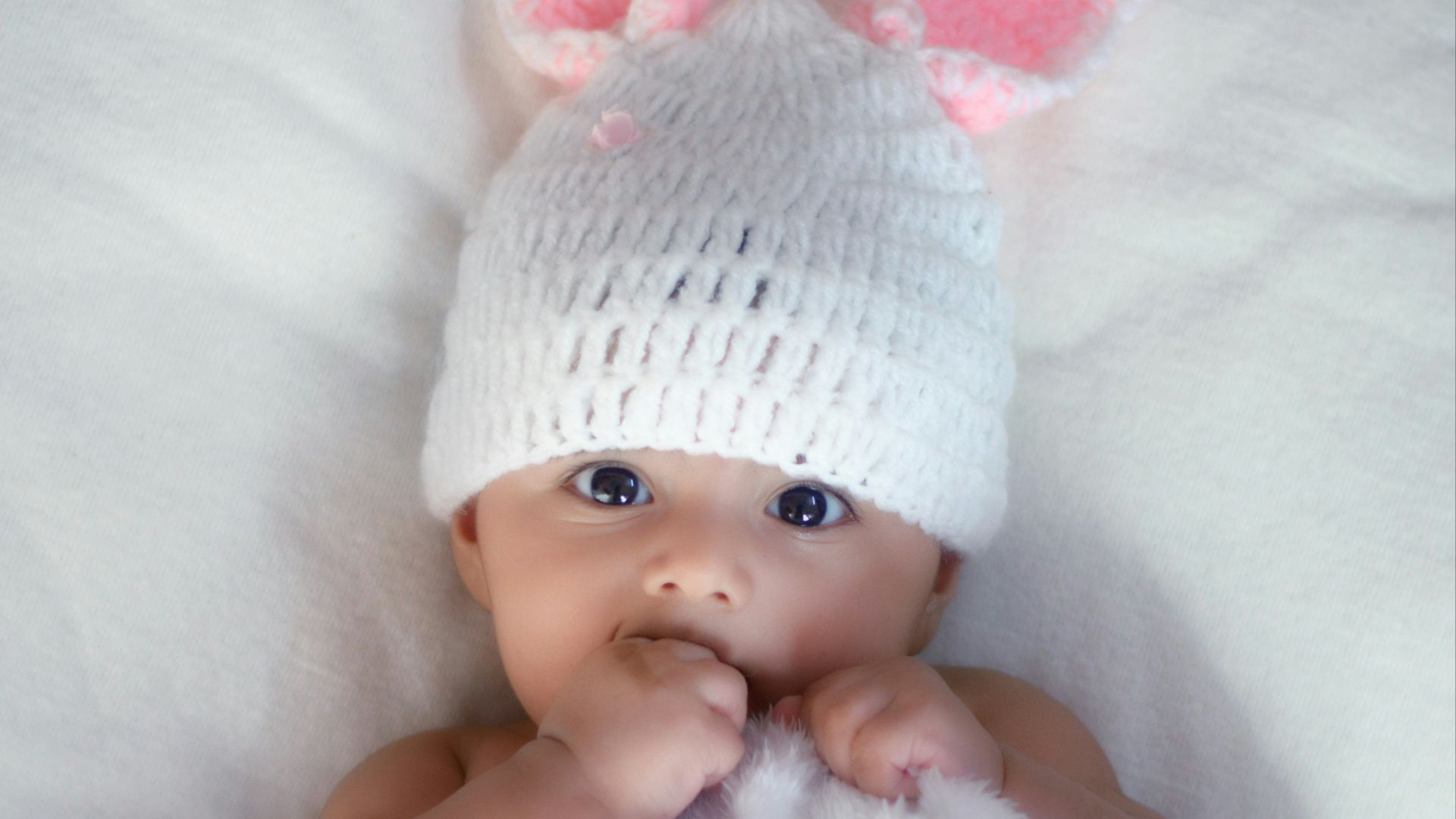 1. Braxleigh