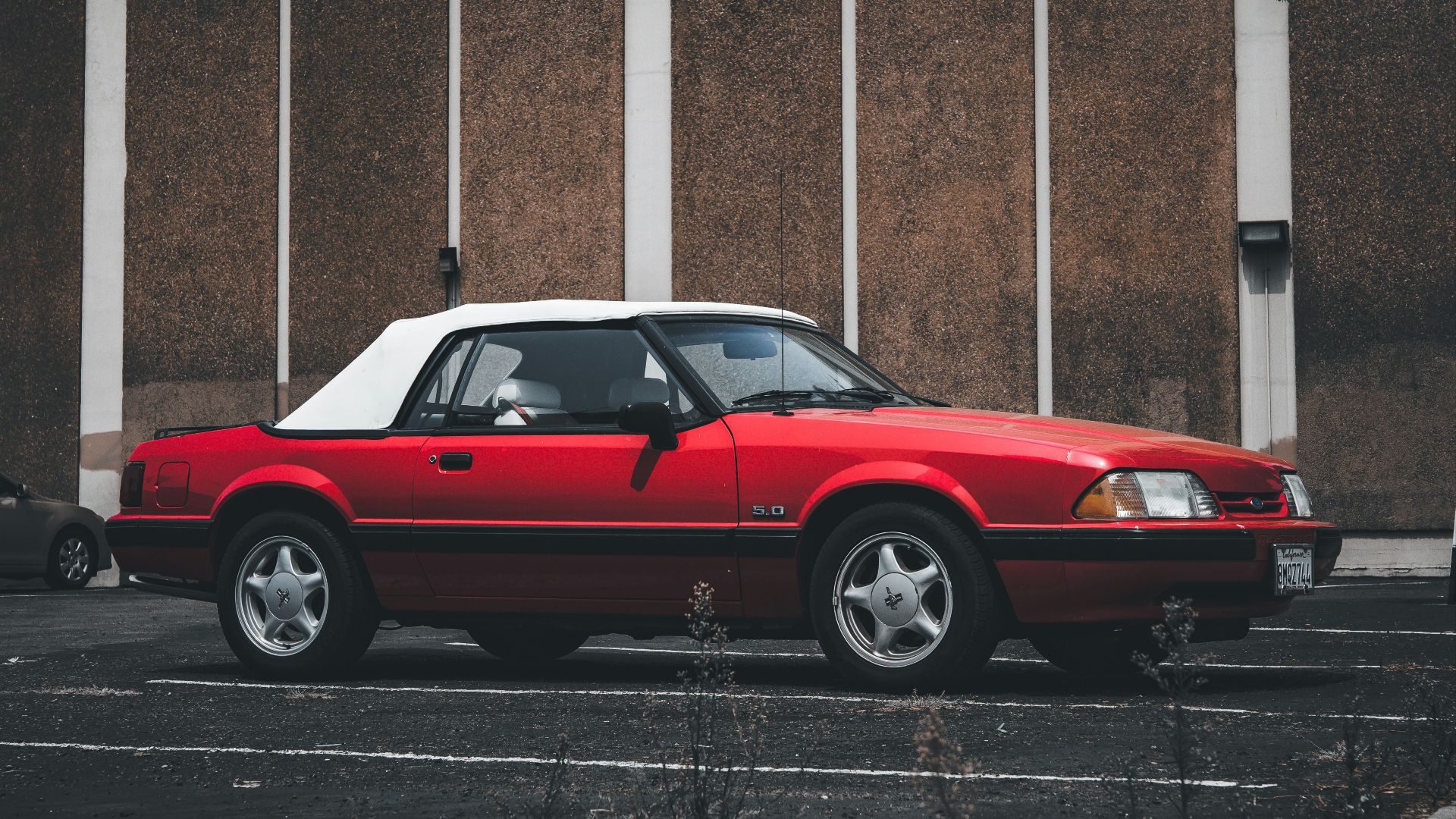 10. La voiture de course « Throttle Discipline » (Ford Mustang Fox Body)
