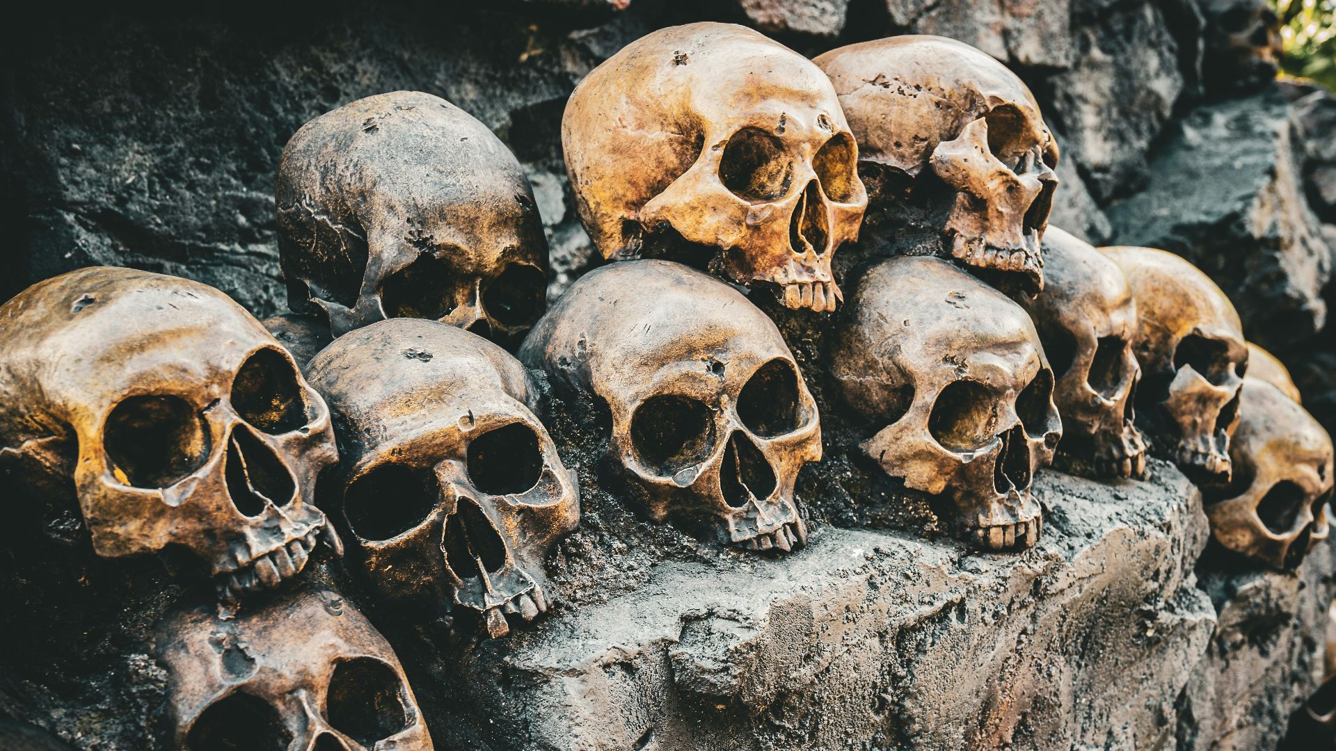 10. Leur musée de l'occulte est devenu un élément à part entière de leur marque