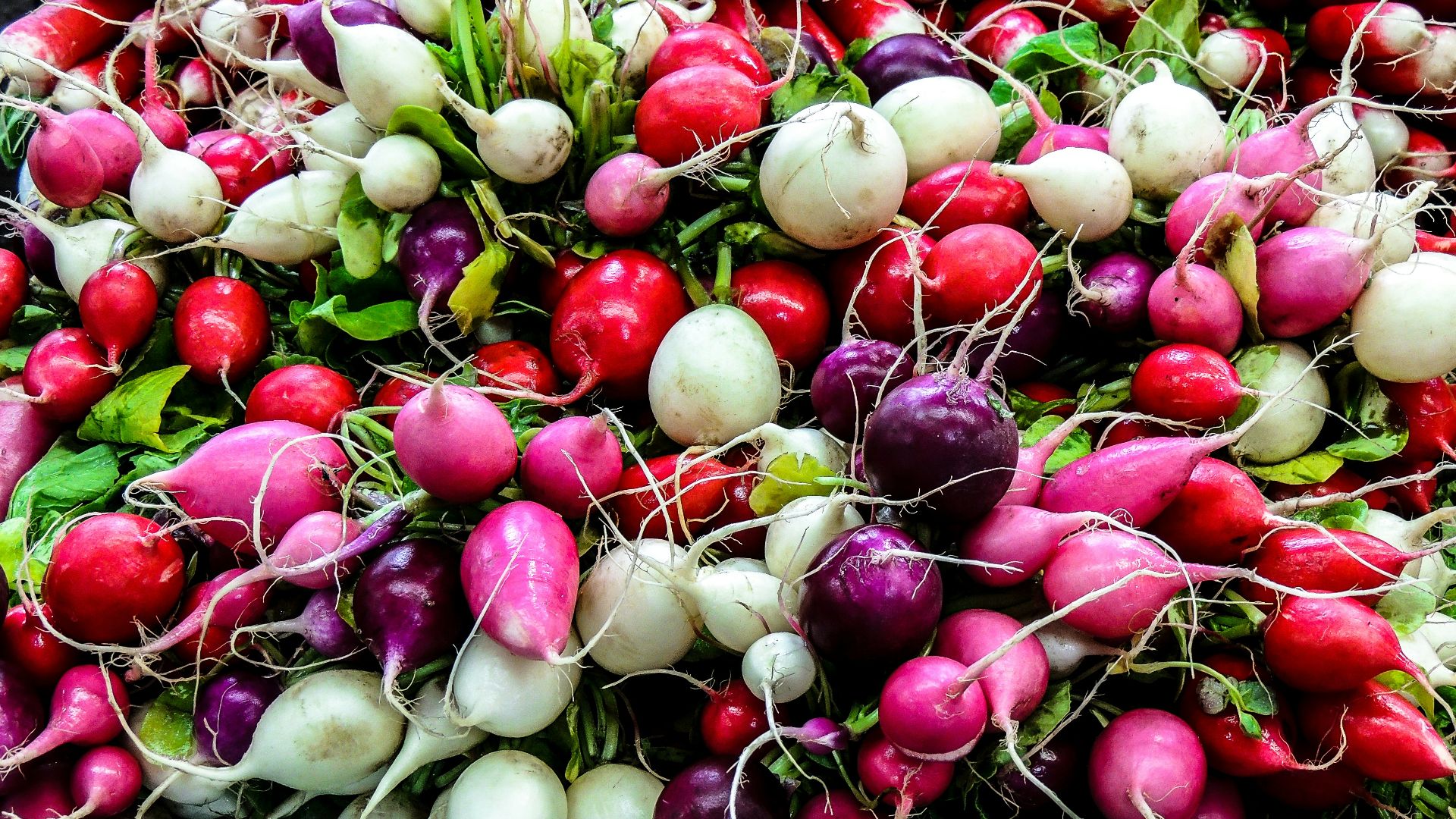 17. Radis et légumes verts sautés