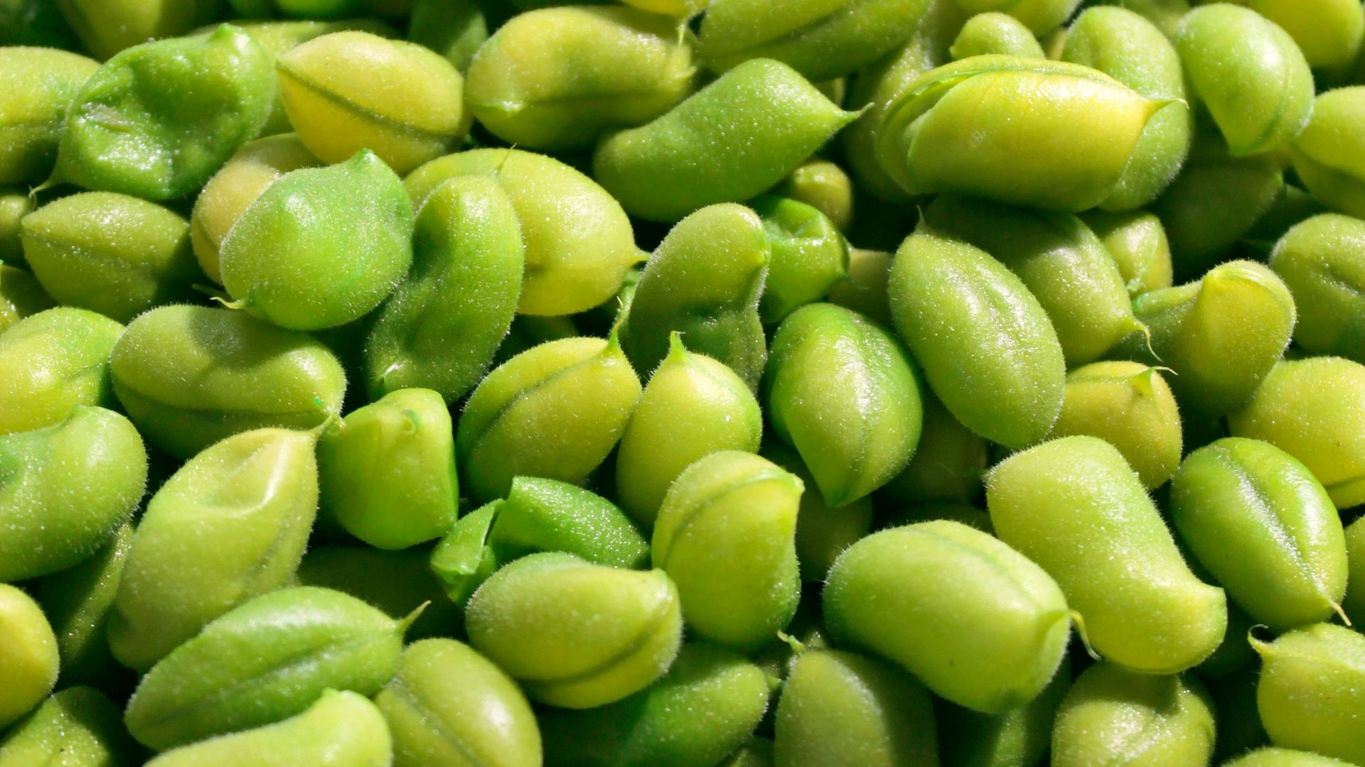 12. Edamame cuit à la vapeur