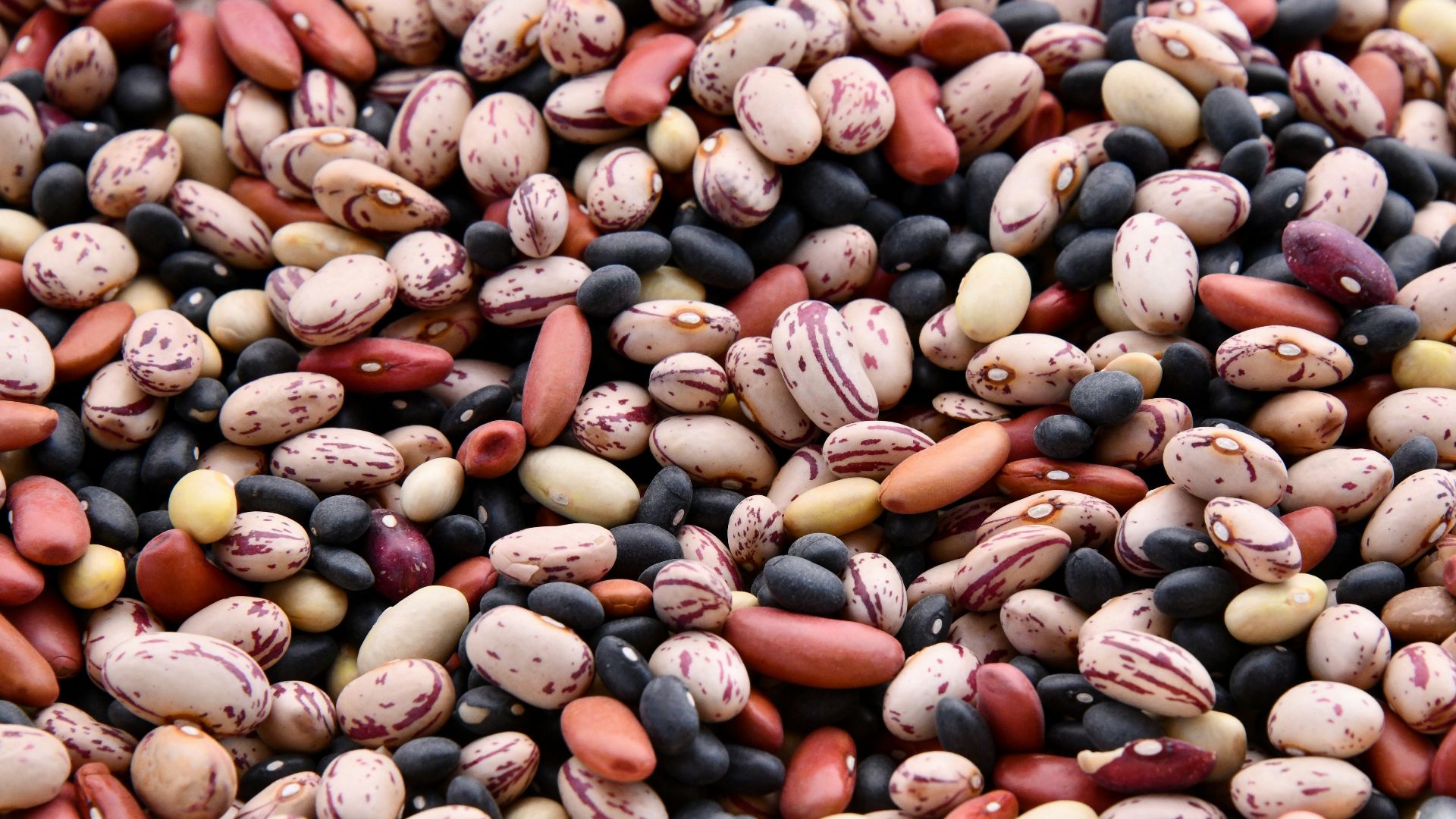 3. Haricots