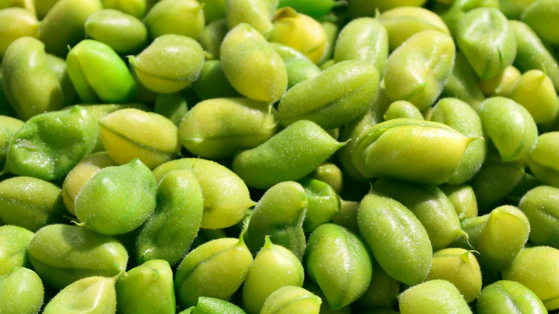 9. Edamame