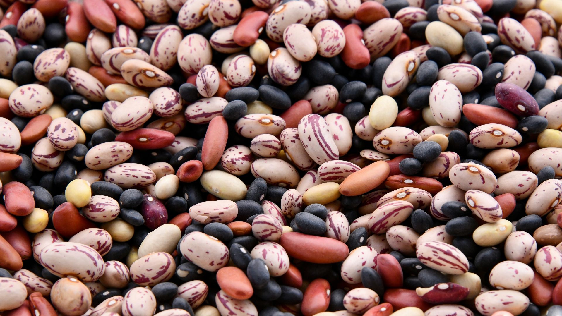 3. Haricots