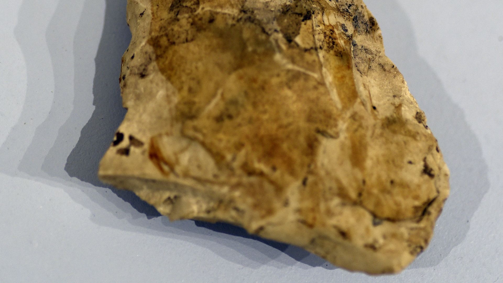 1. Hachettes acheuléennes