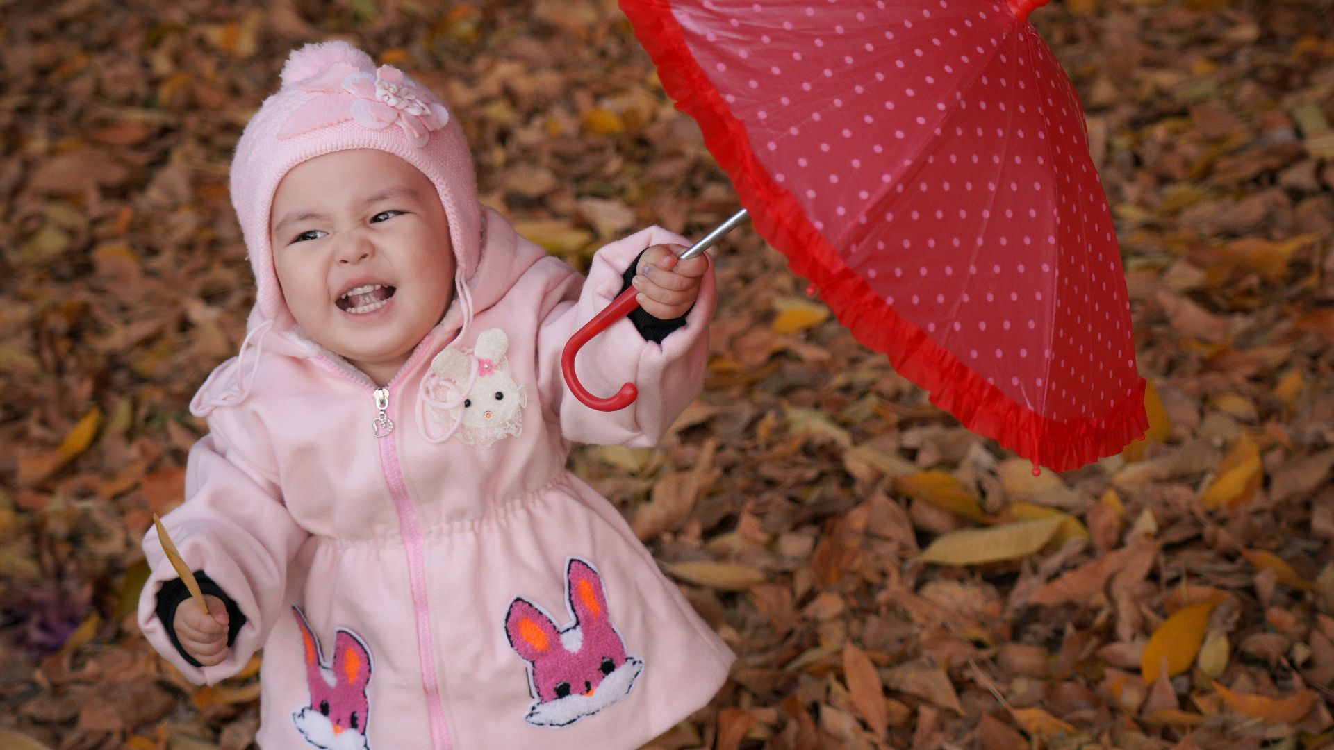 2. Charis