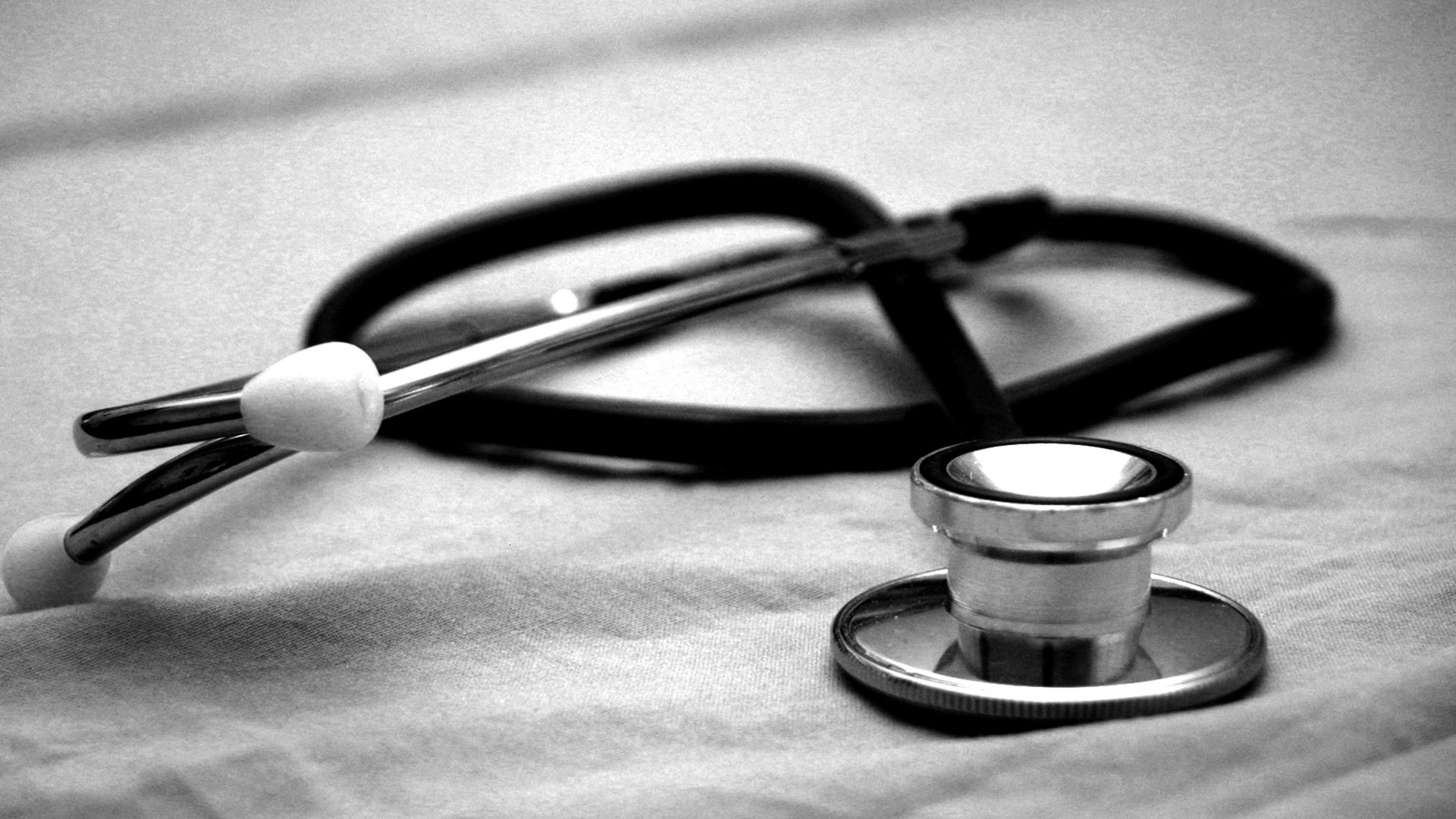 11. Virus de la cassure de la tulipe