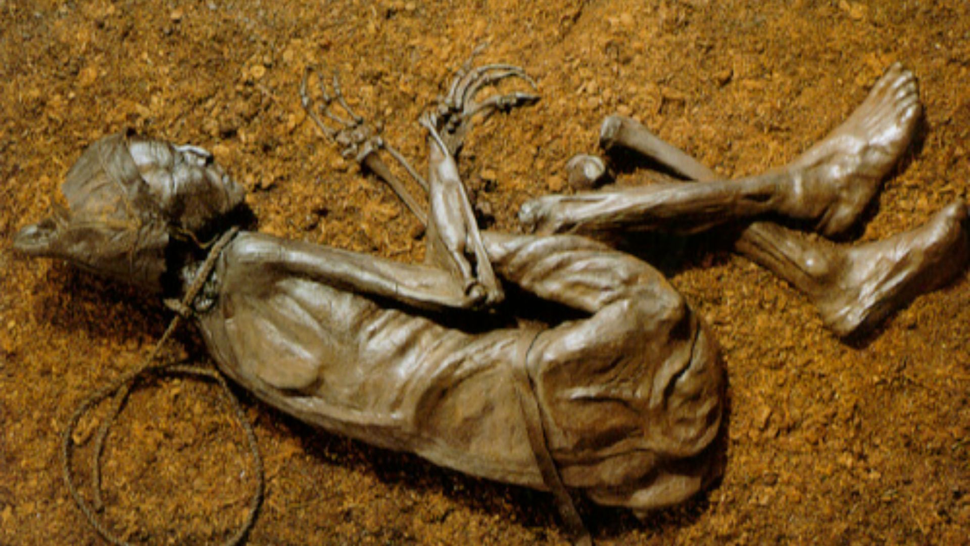 17. L'homme de Tollund retrouvé dans une tourbière