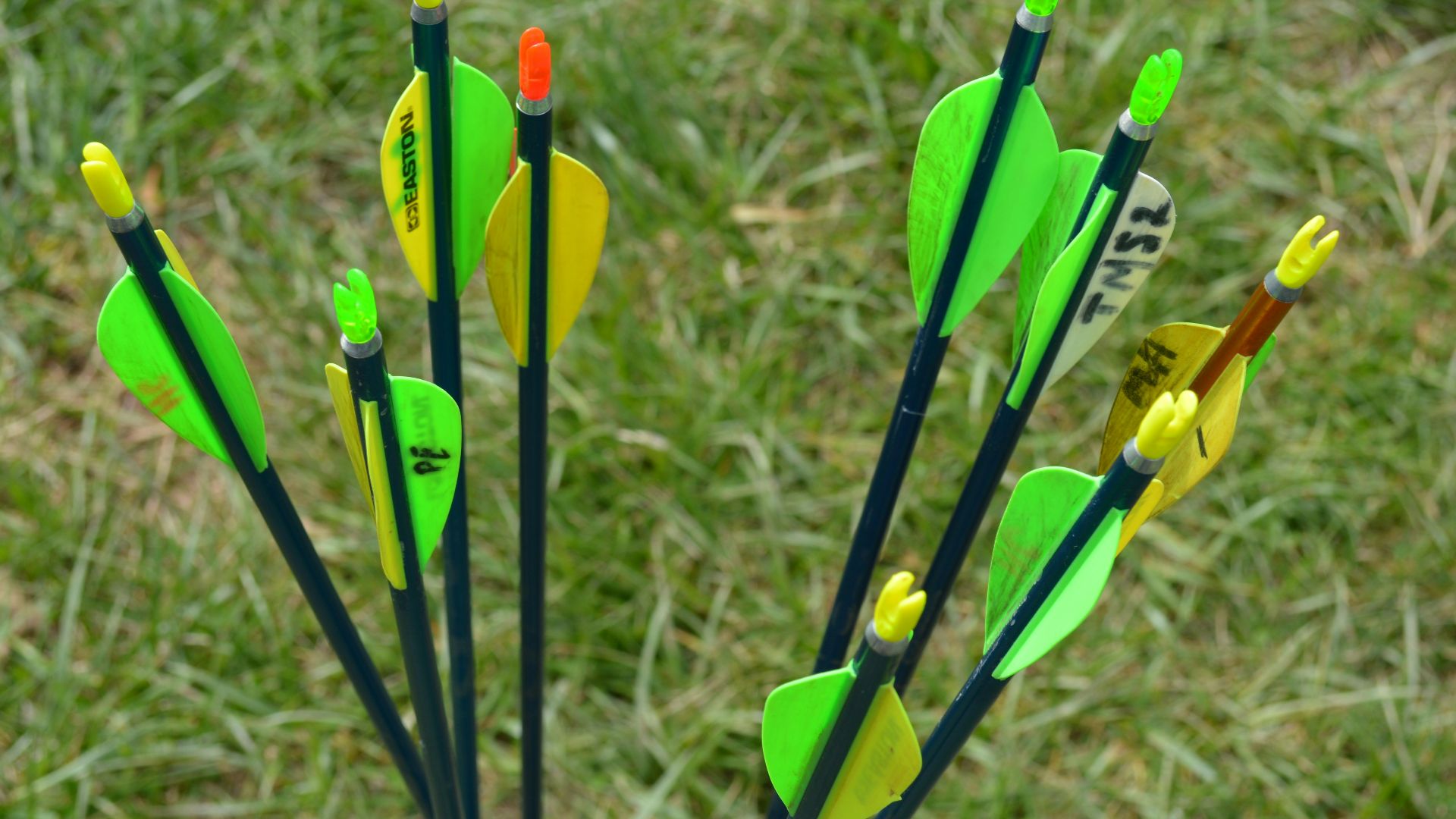 1. Les fléchettes de pelouse originales