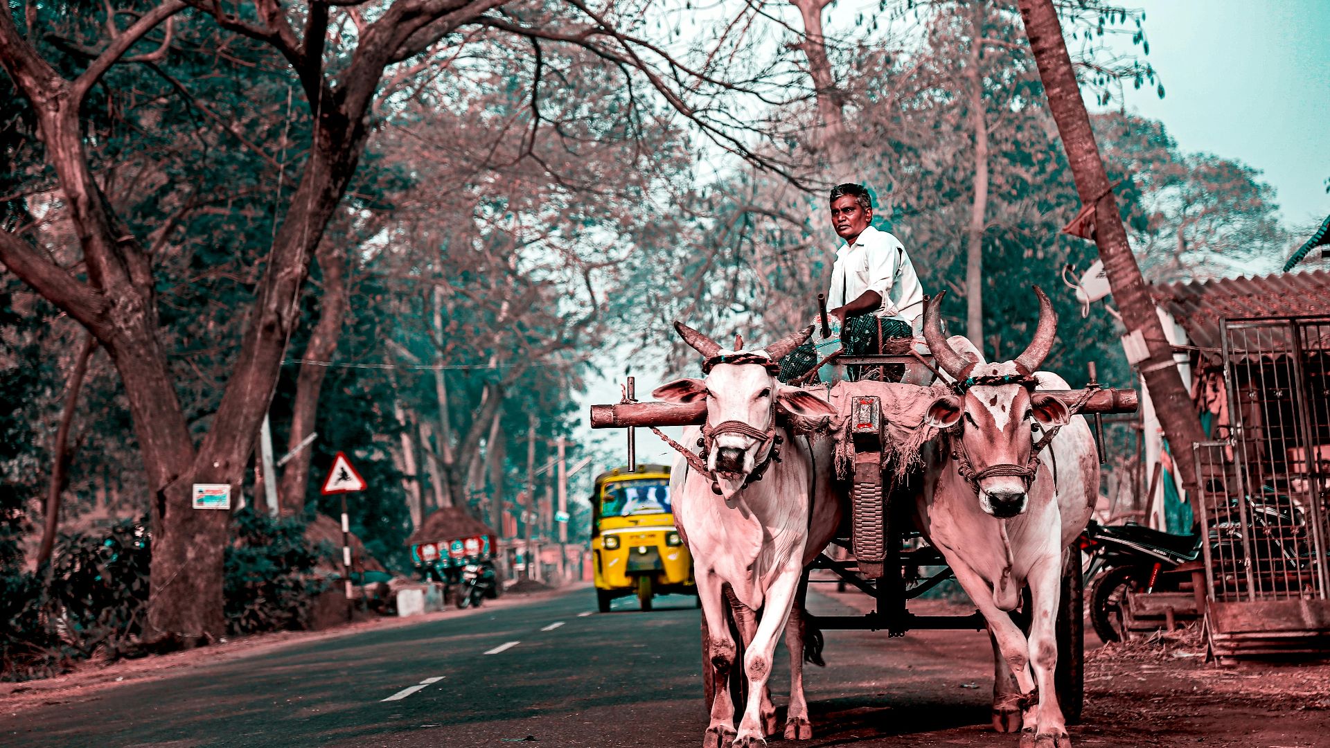 3. Inde