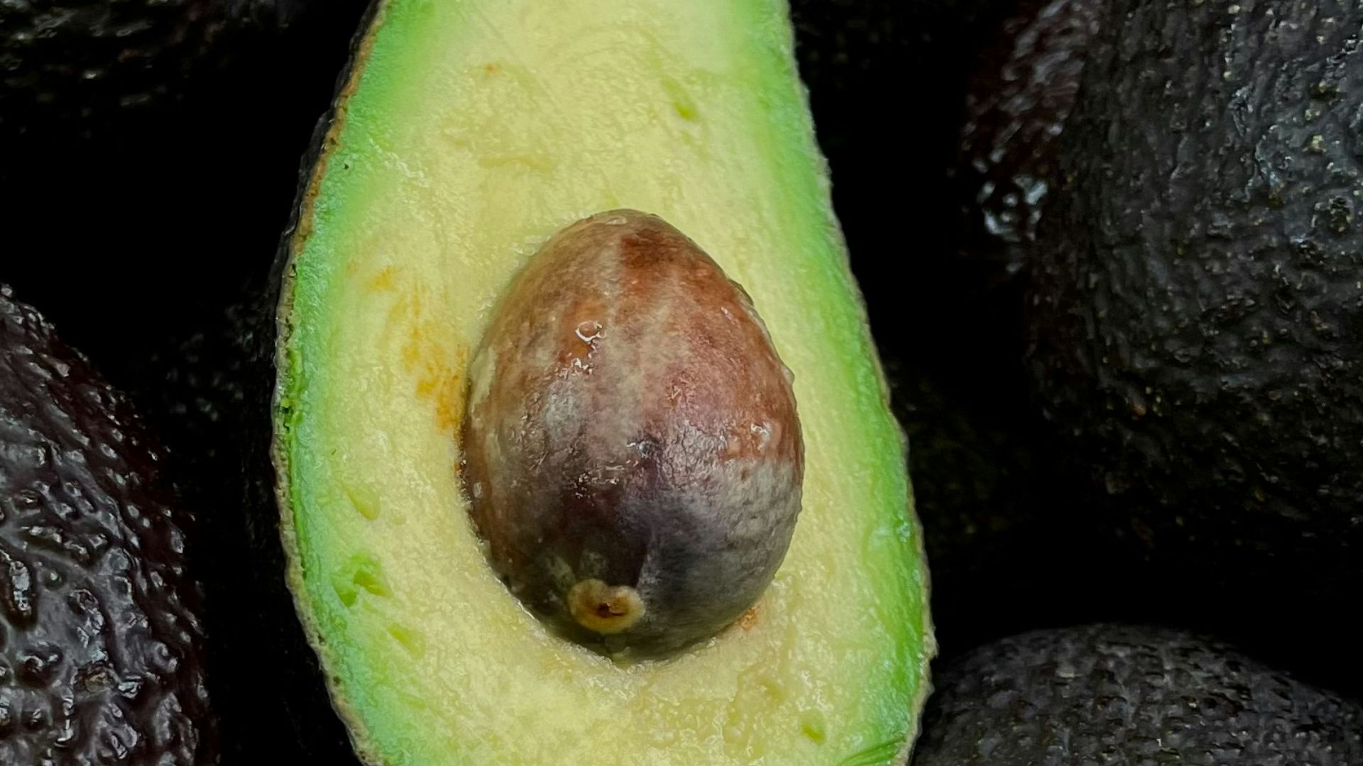 6. Mousse au chocolat et à l'avocat