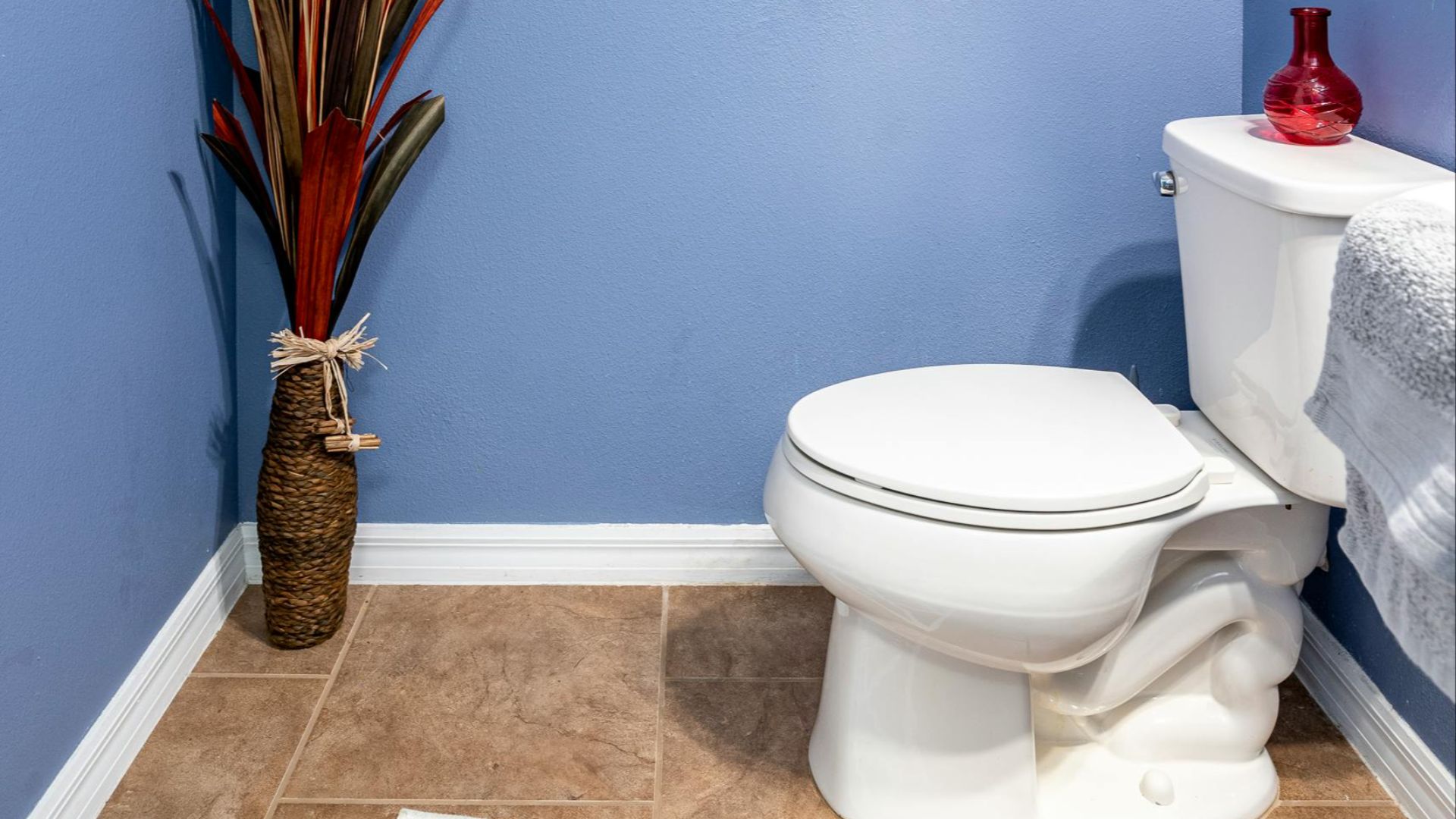 11. Des selles de couleur argileuse peuvent être le signe de problèmes biliaires