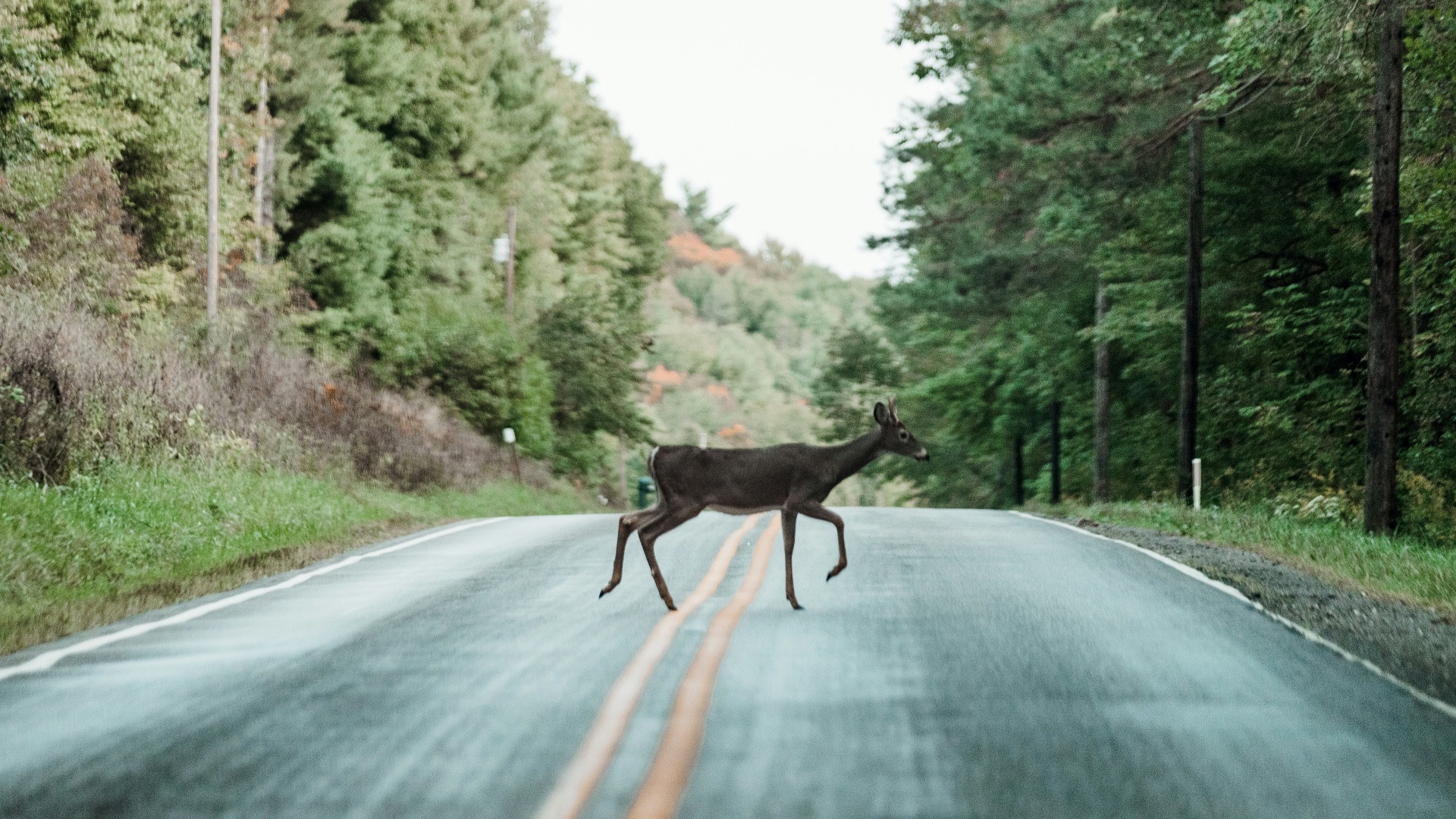 6. Il permet de détecter les imprévus sur la route