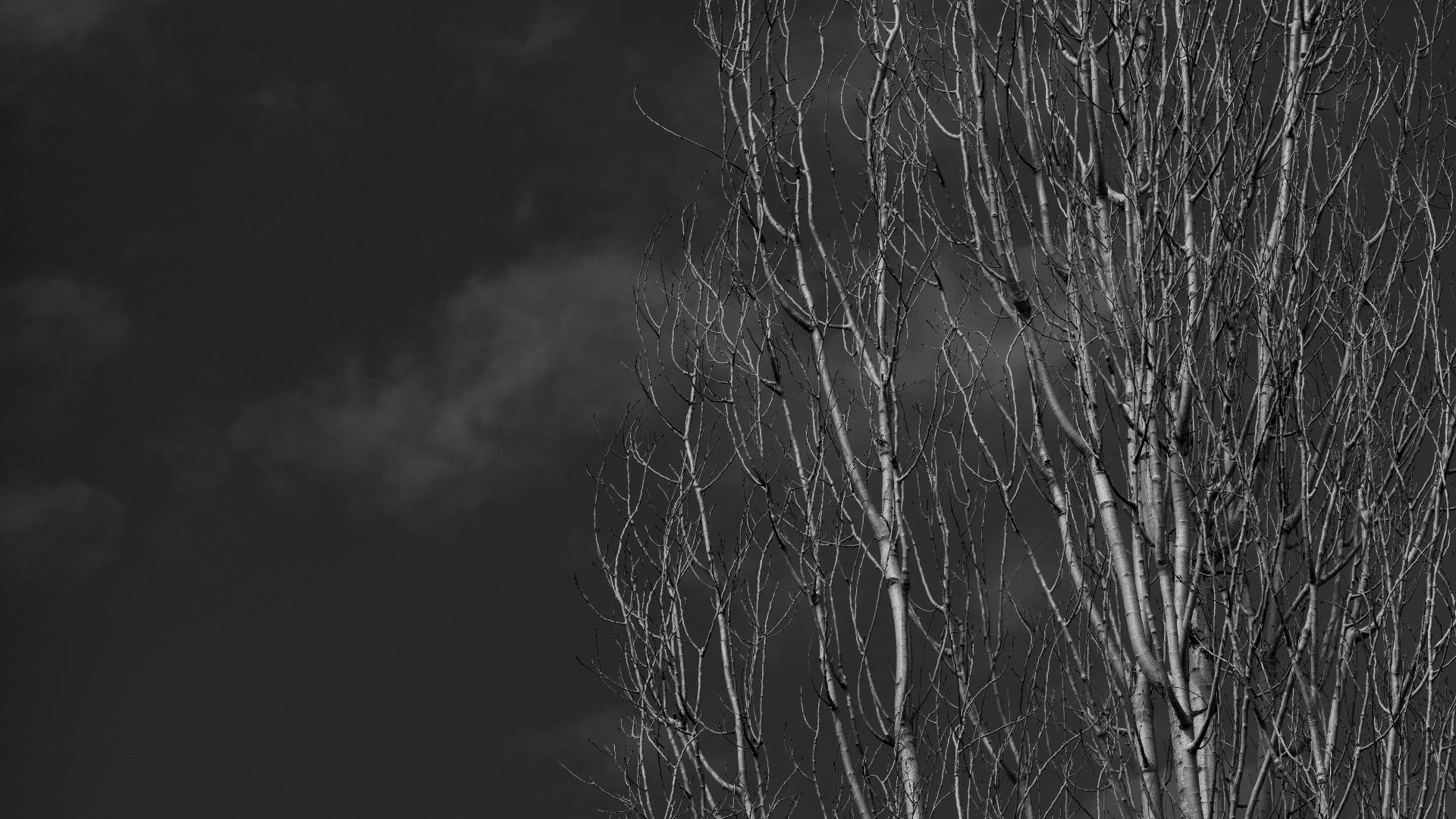 19. Leur fille perpétue aujourd’hui encore cet héritage