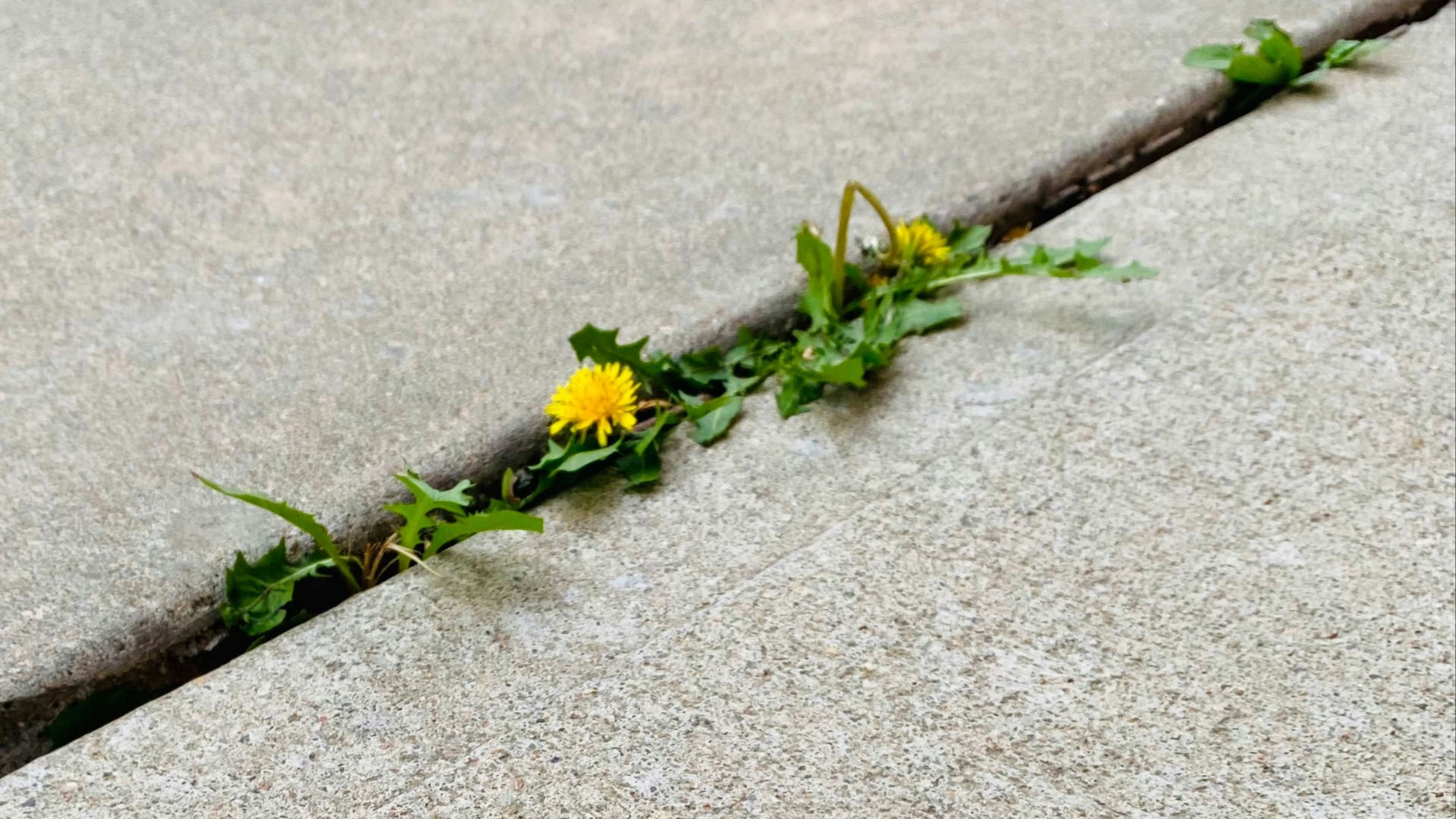 6. Marcher sur une fissure briserait le dos de ta mère.