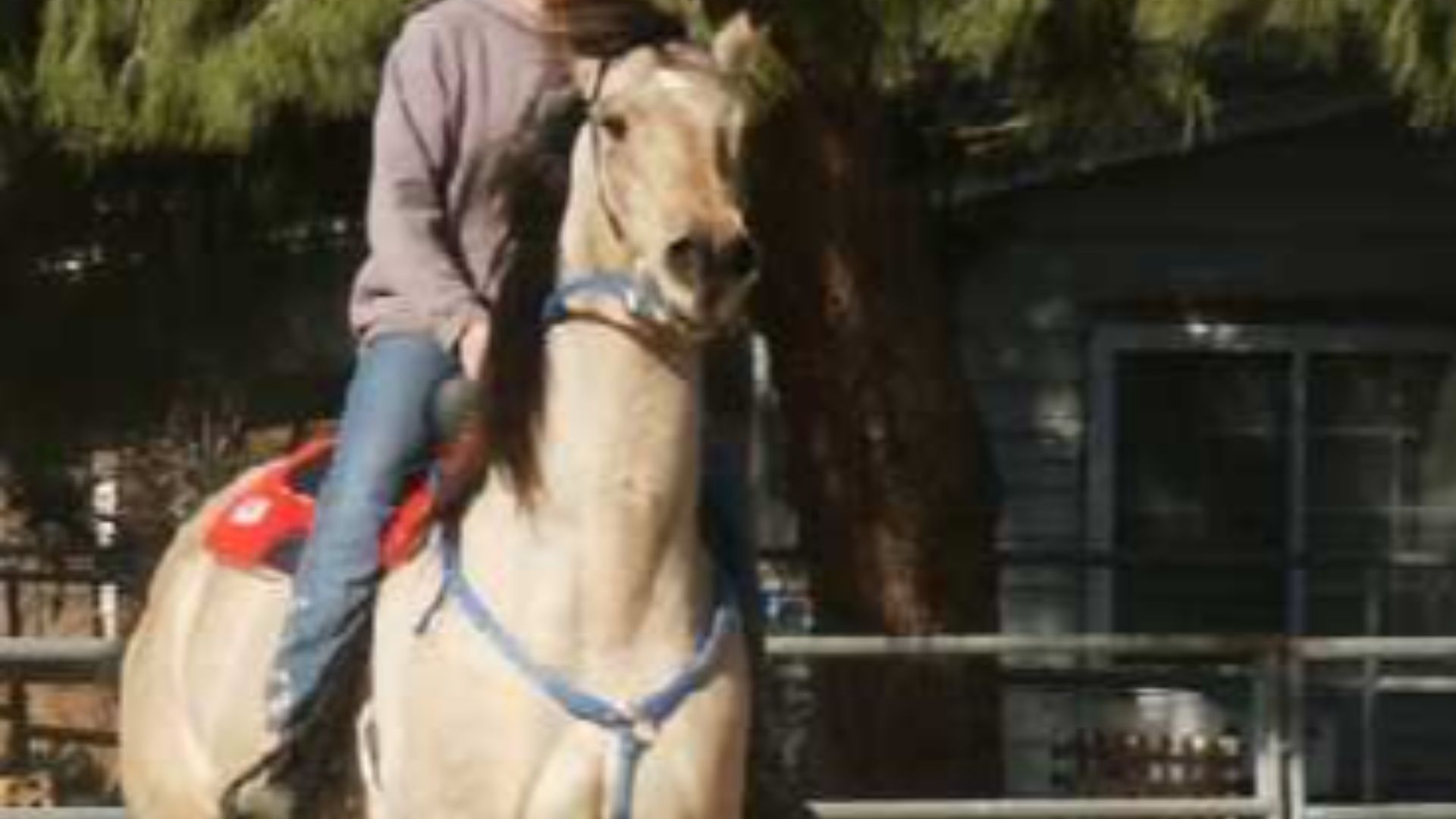 19. Le babeurre : le préféré des cow-girls