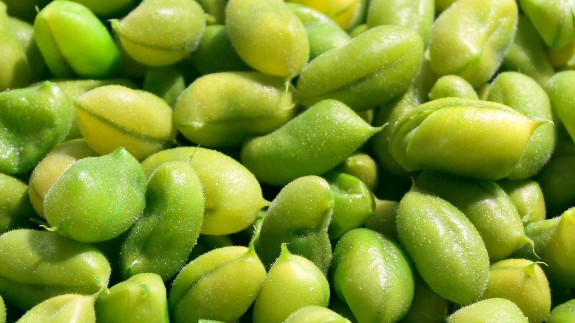 7. Edamame au sel marin