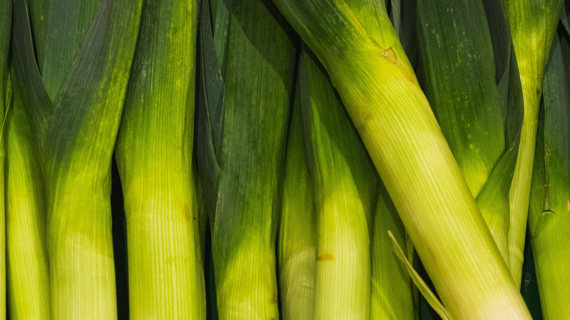 18. Soupe aux poireaux de Néron