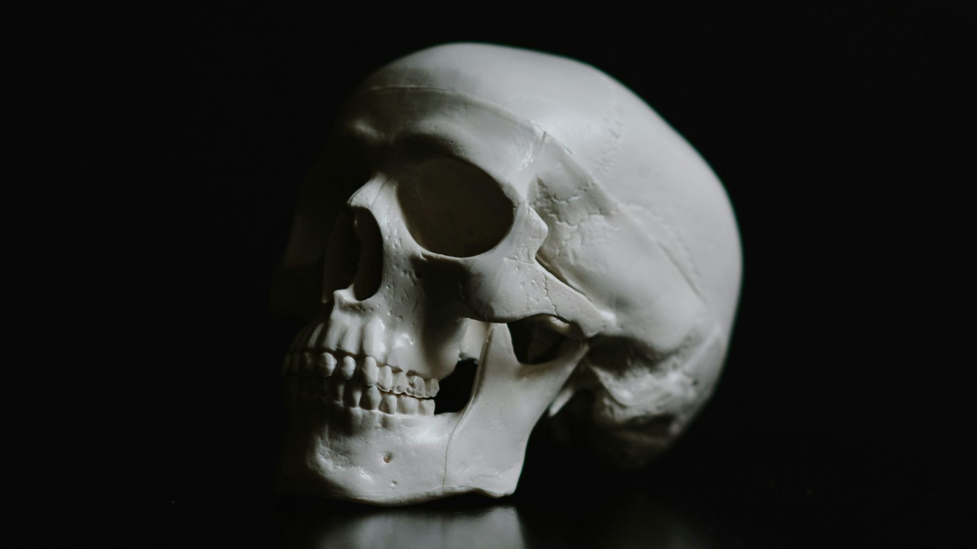 15. 💀 Crâne
