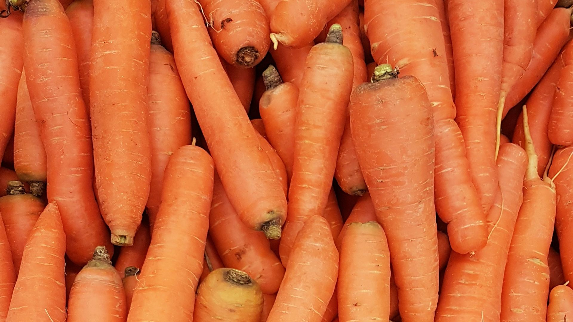20. Carottes crues