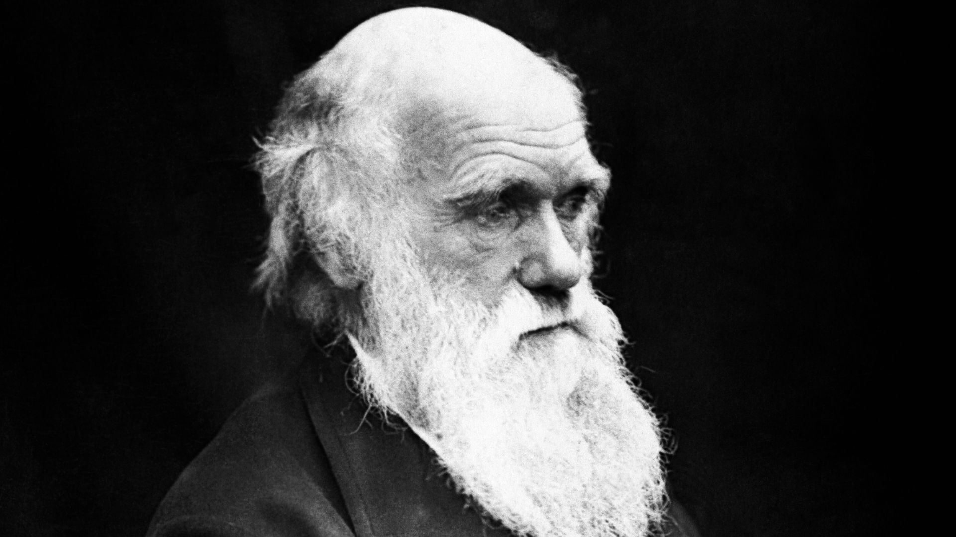 19. Charles Darwin